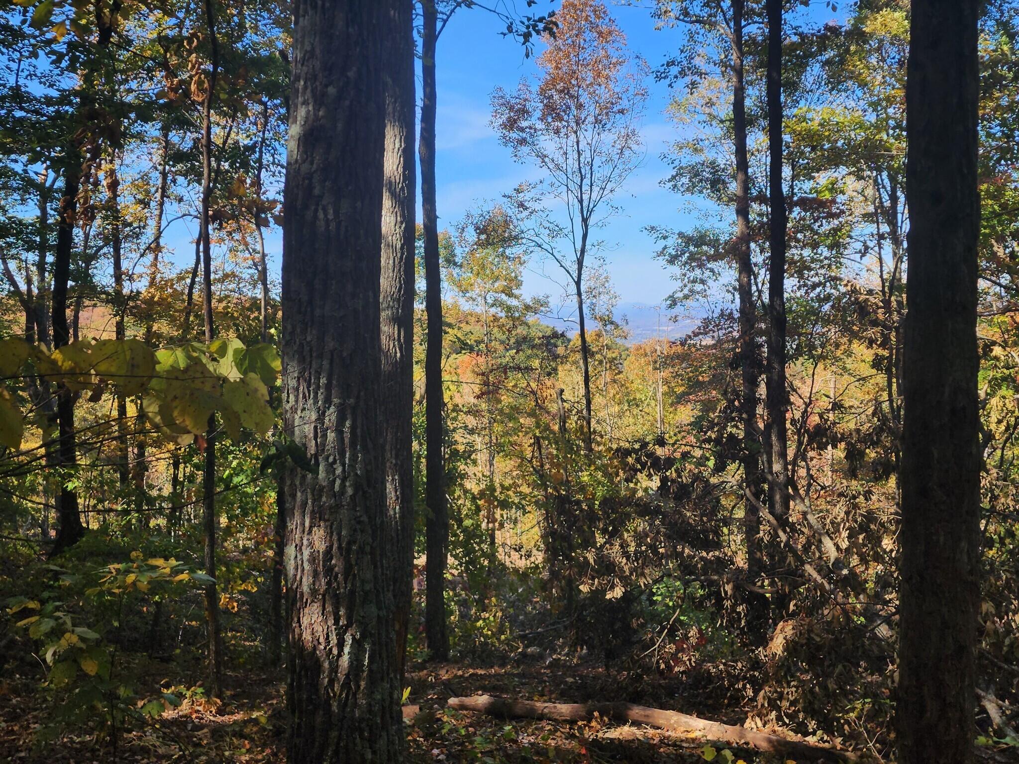 12 Higgenbottom Turnpike, 12