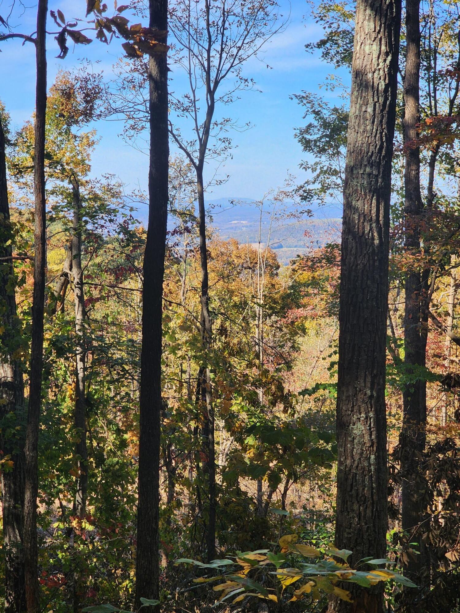 12 Higgenbottom Turnpike, 12