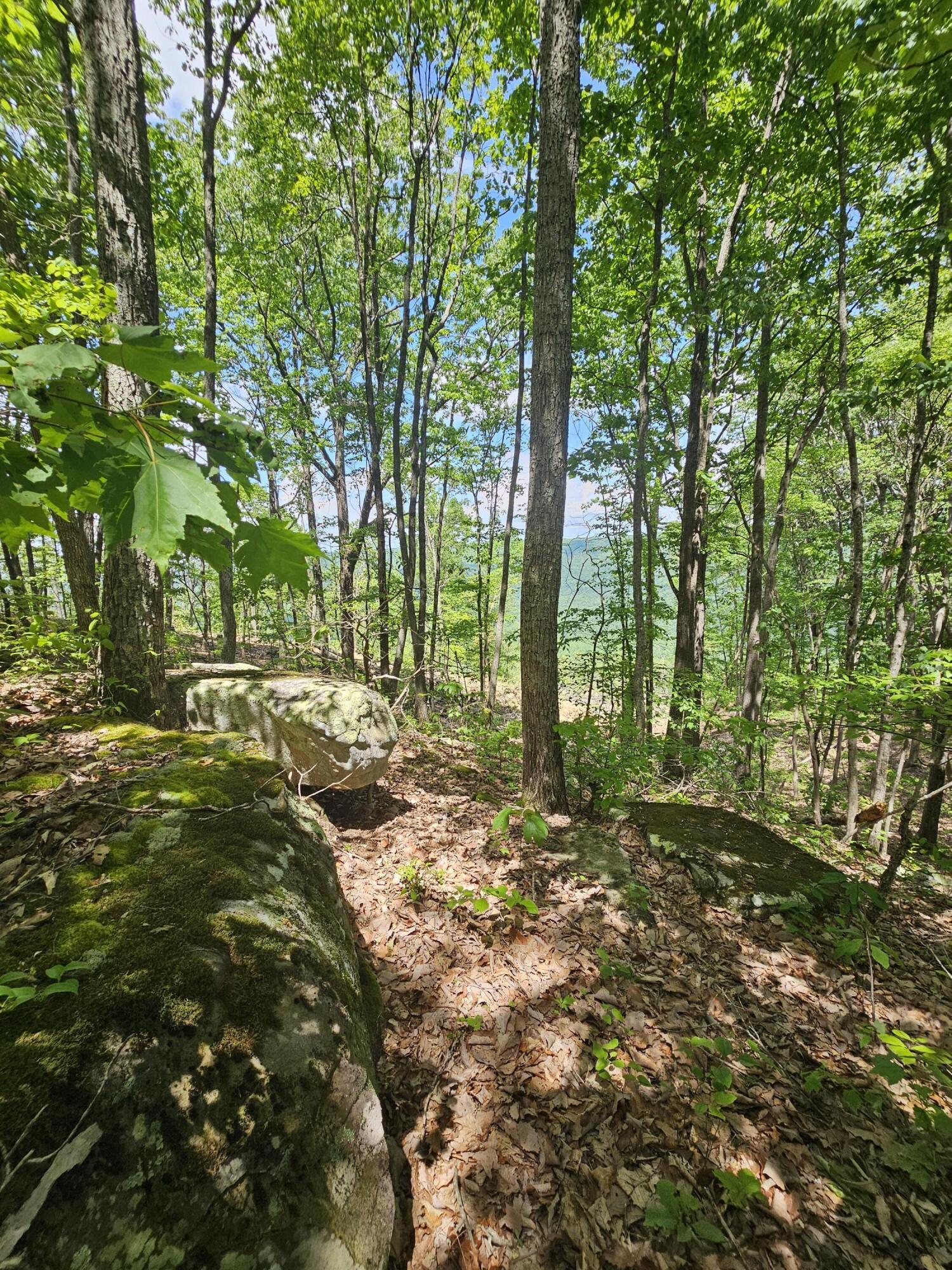 12 Higgenbottom Turnpike, 12