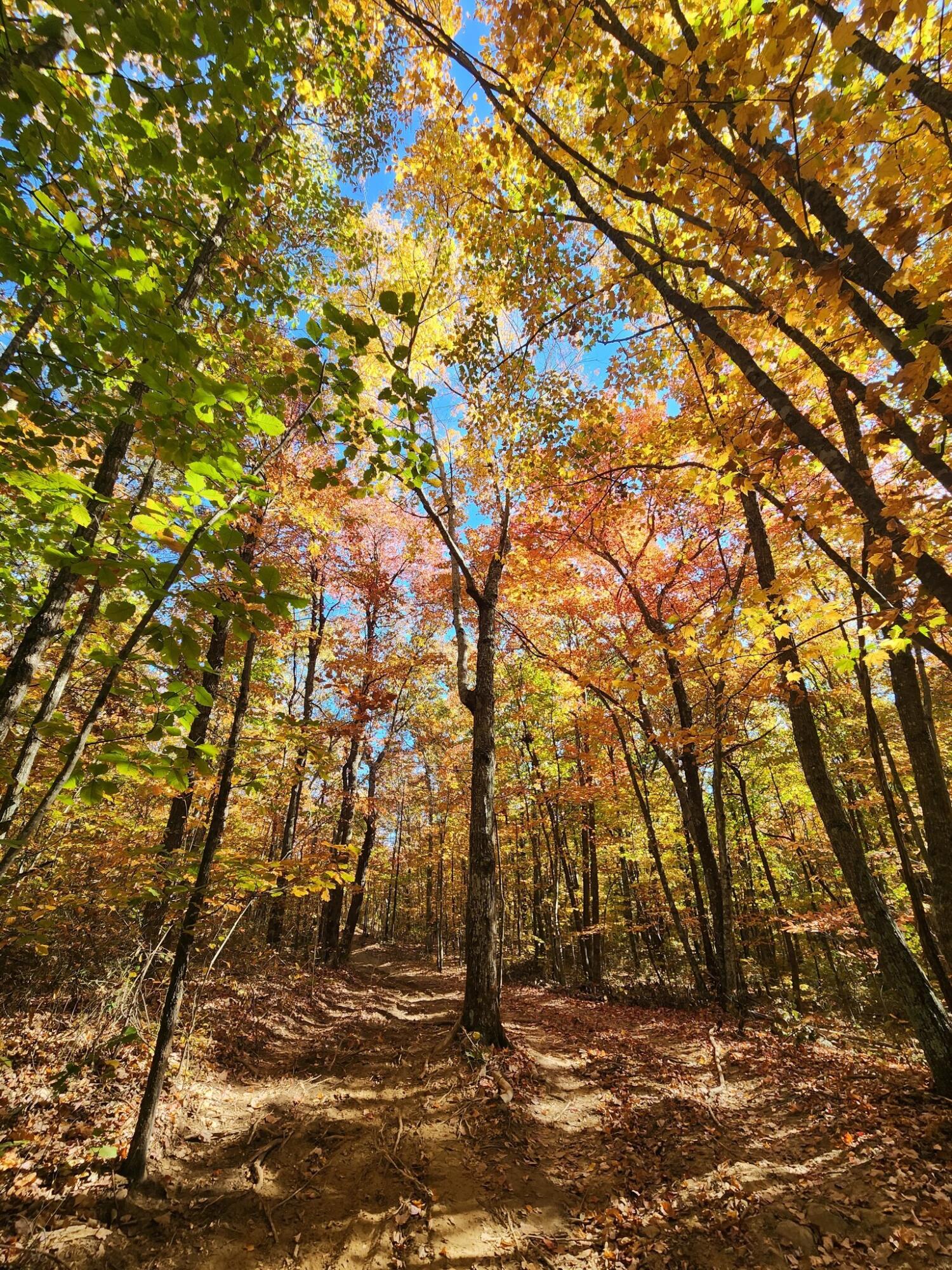 12 Higgenbottom Turnpike, 12