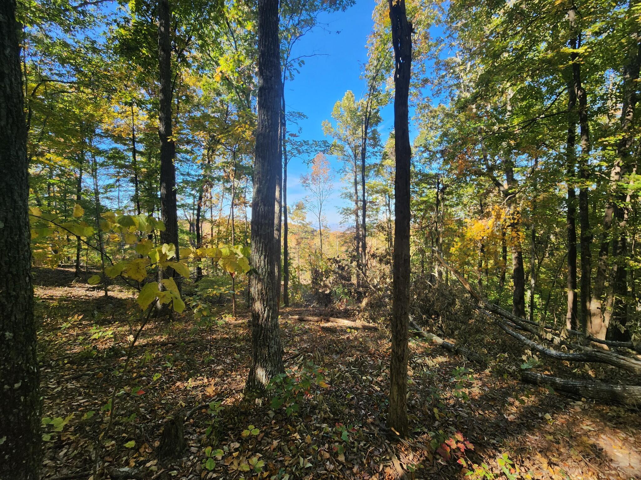 12 Higgenbottom Turnpike, 12