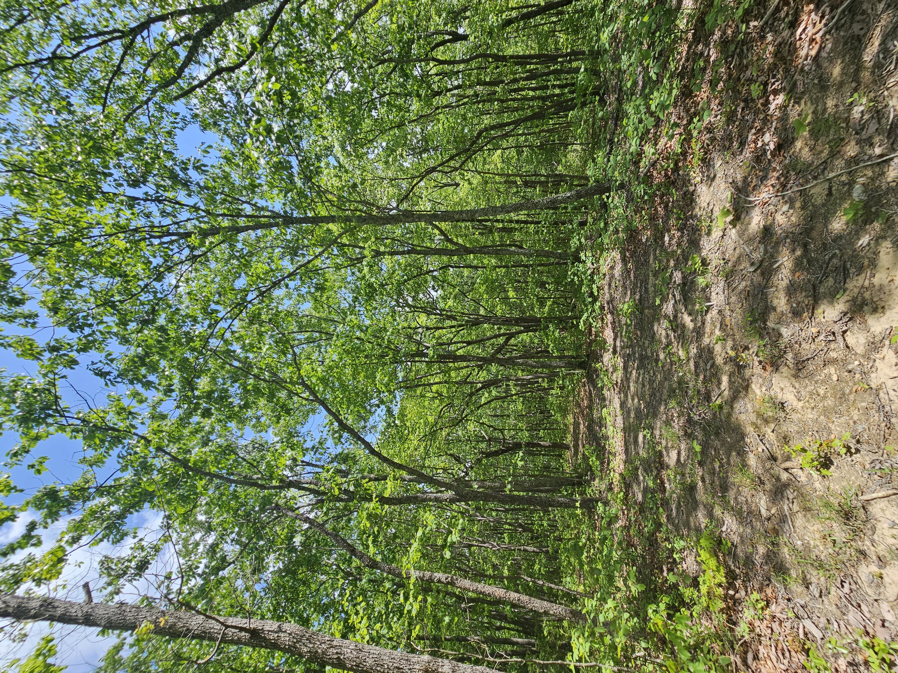 12 Higgenbottom Turnpike, 12