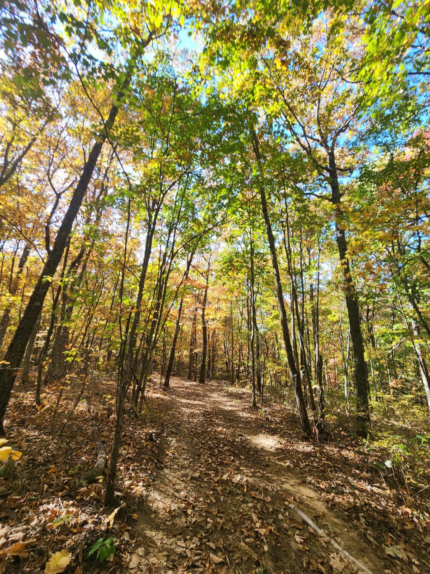 12 Higgenbottom Turnpike, 12