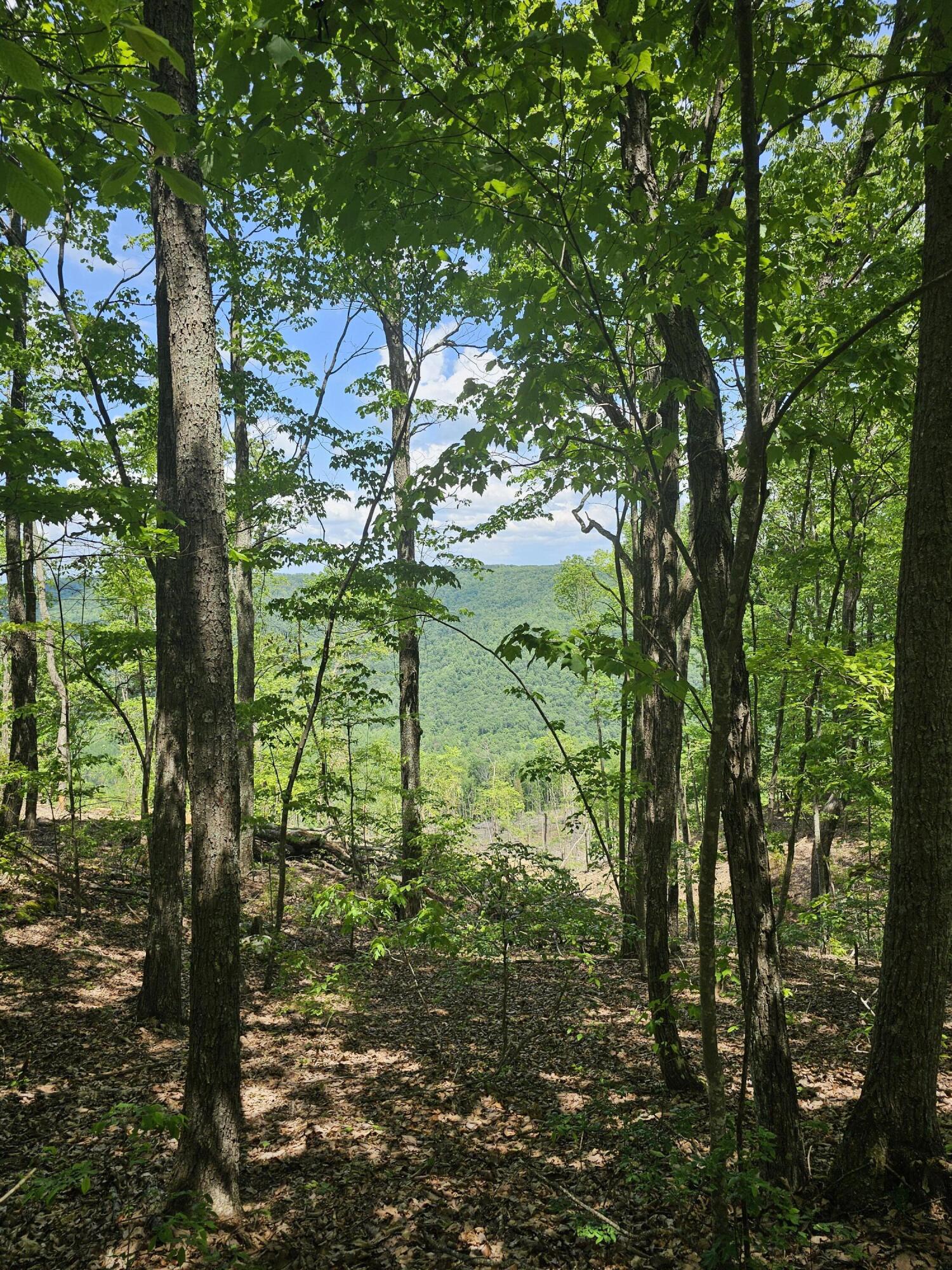 12 Higgenbottom Turnpike, 12