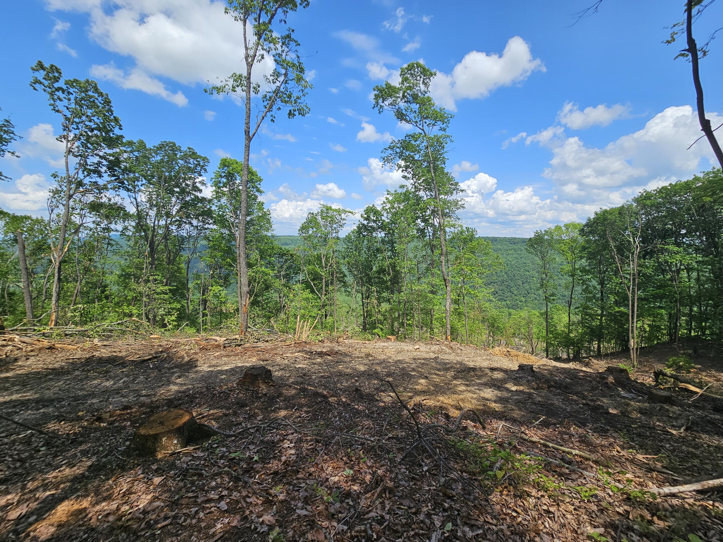 12 Higgenbottom Turnpike, 12