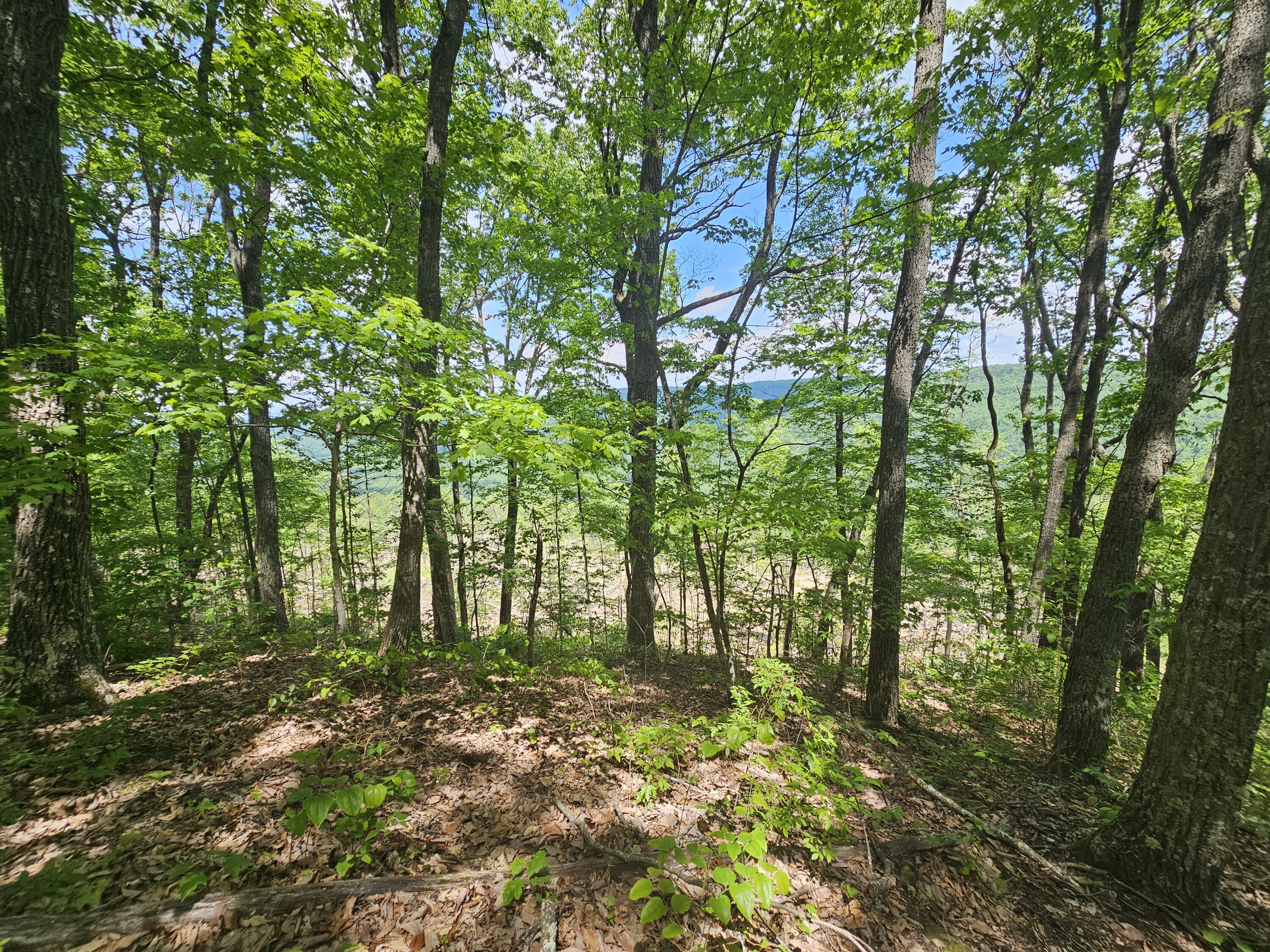 12 Higgenbottom Turnpike, 12