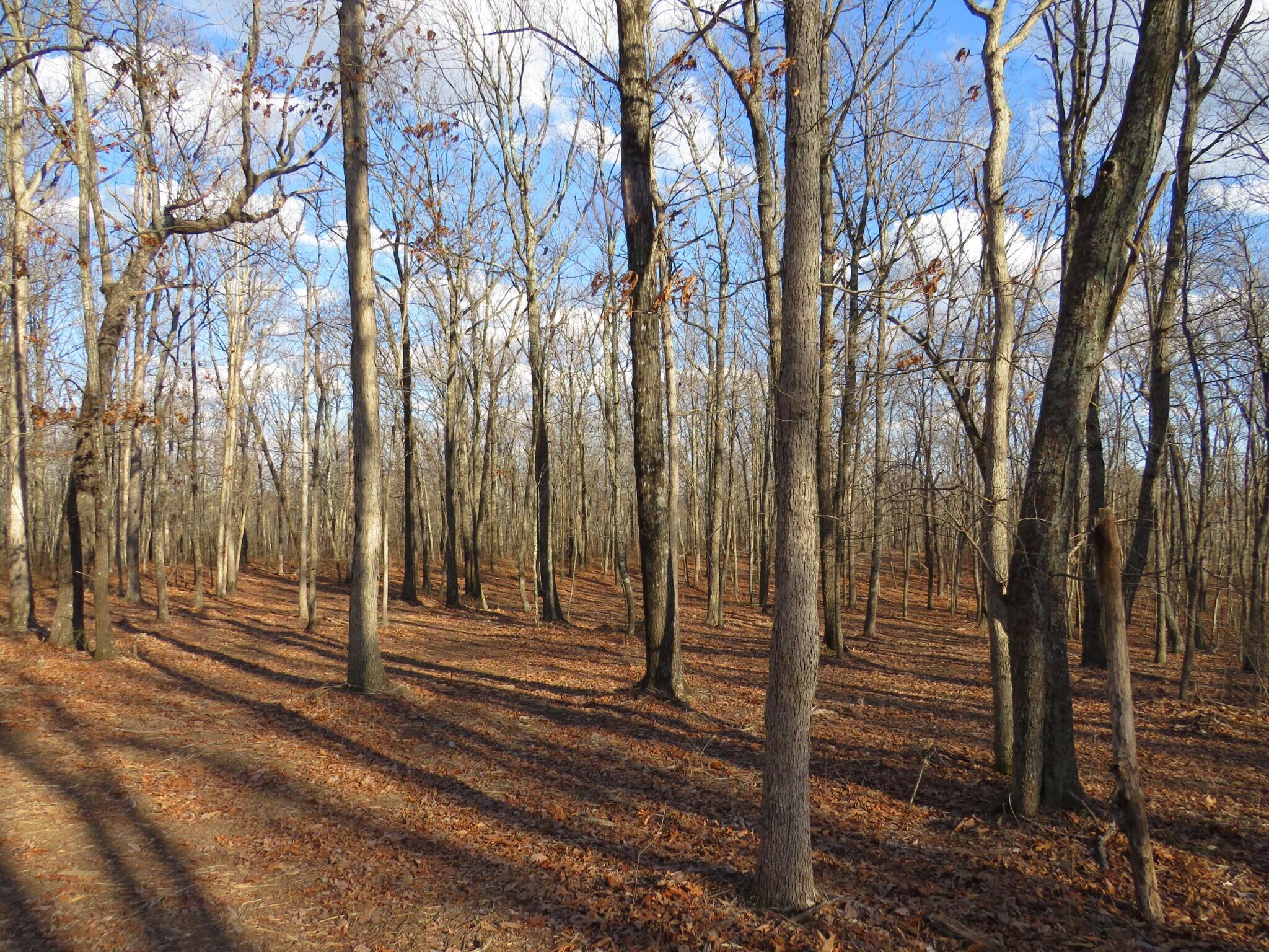 12 Higgenbottom Turnpike, 12