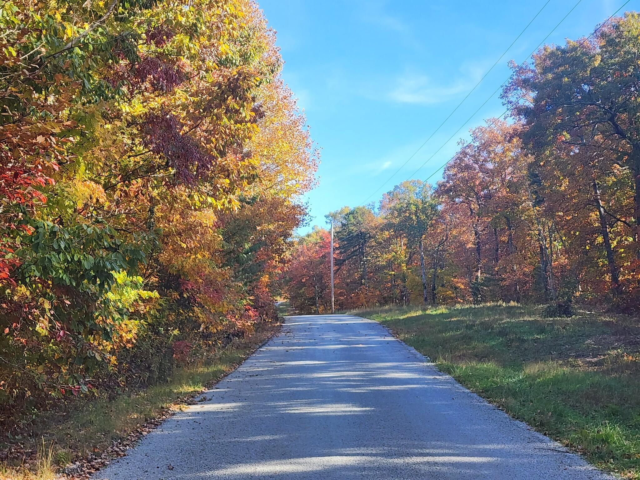 12 Higgenbottom Turnpike, 12