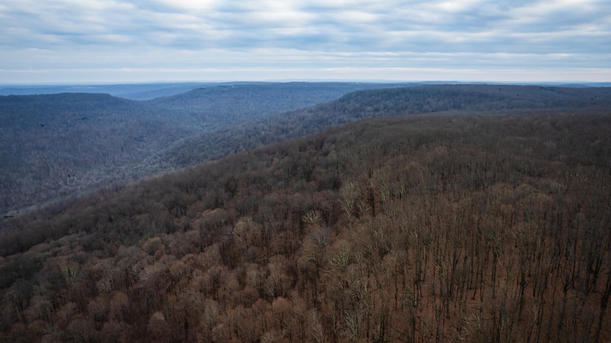 12 Higgenbottom Turnpike, 12