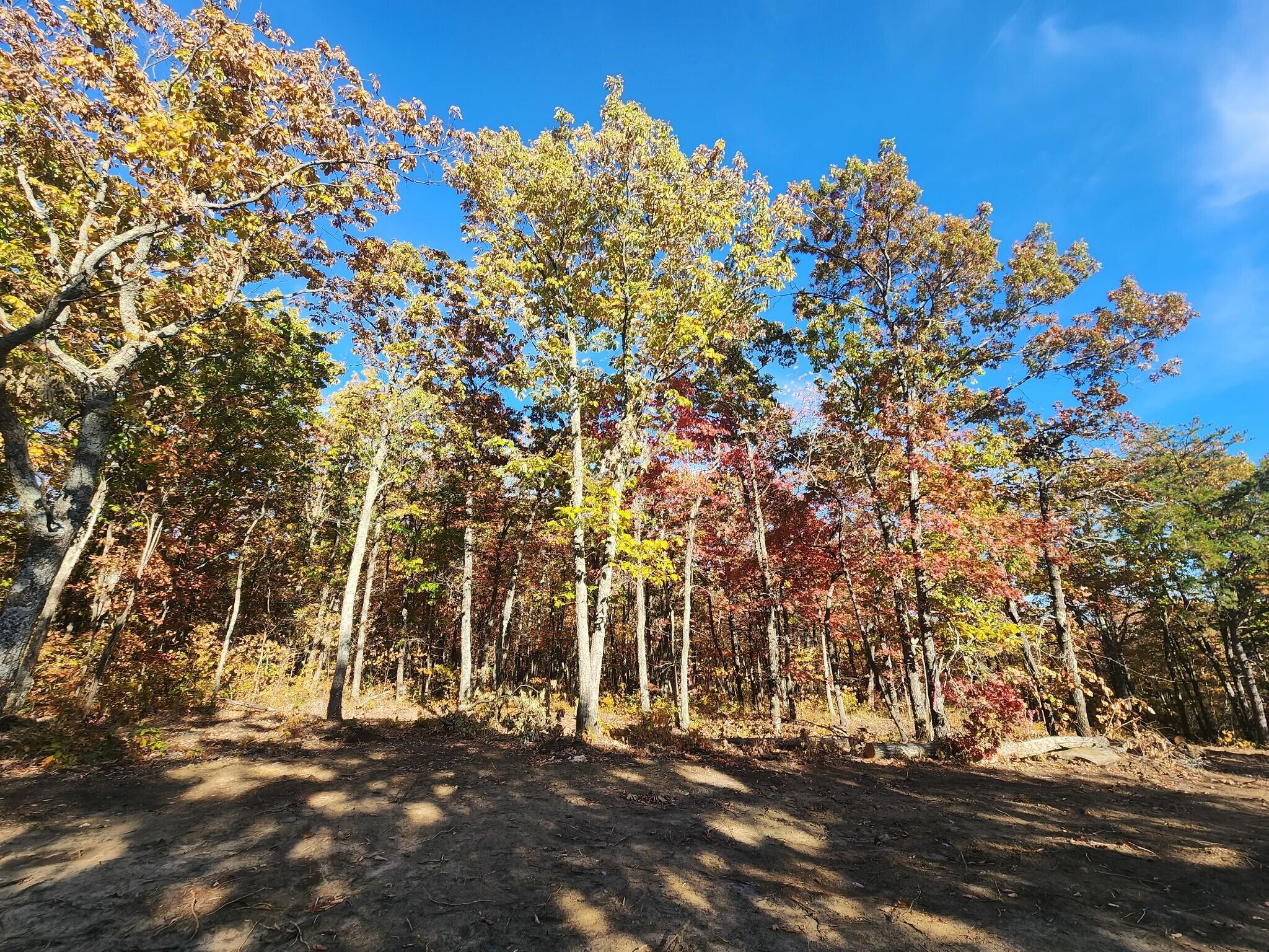 12 Higgenbottom Turnpike, 12