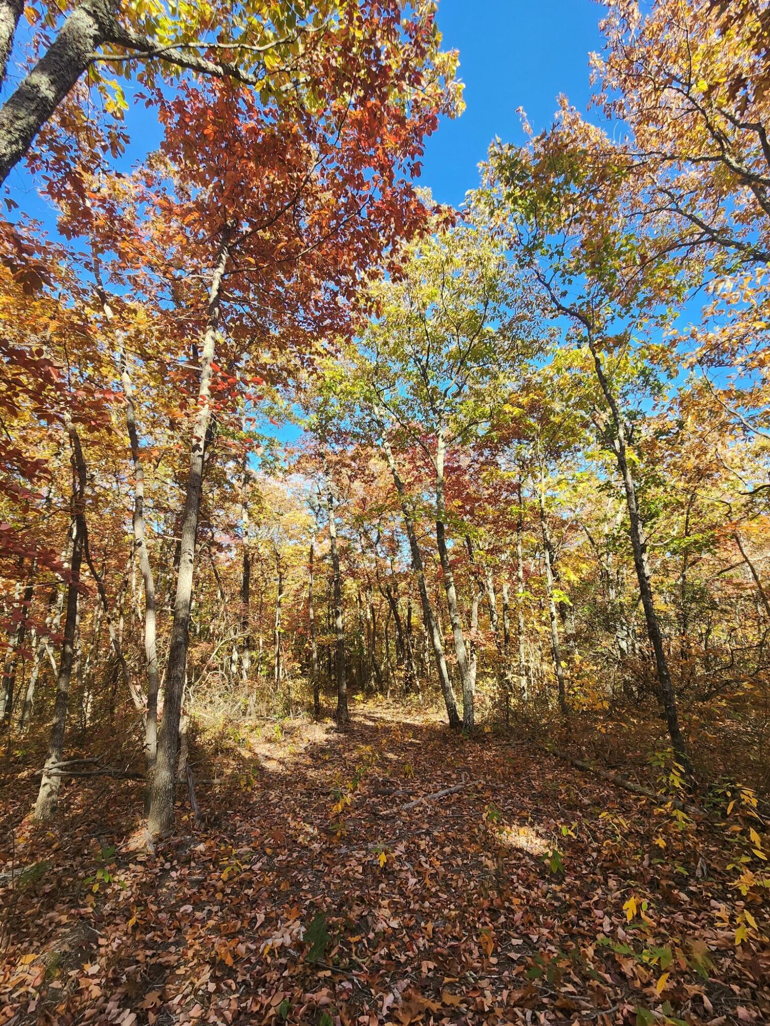 12 Higgenbottom Turnpike, 12