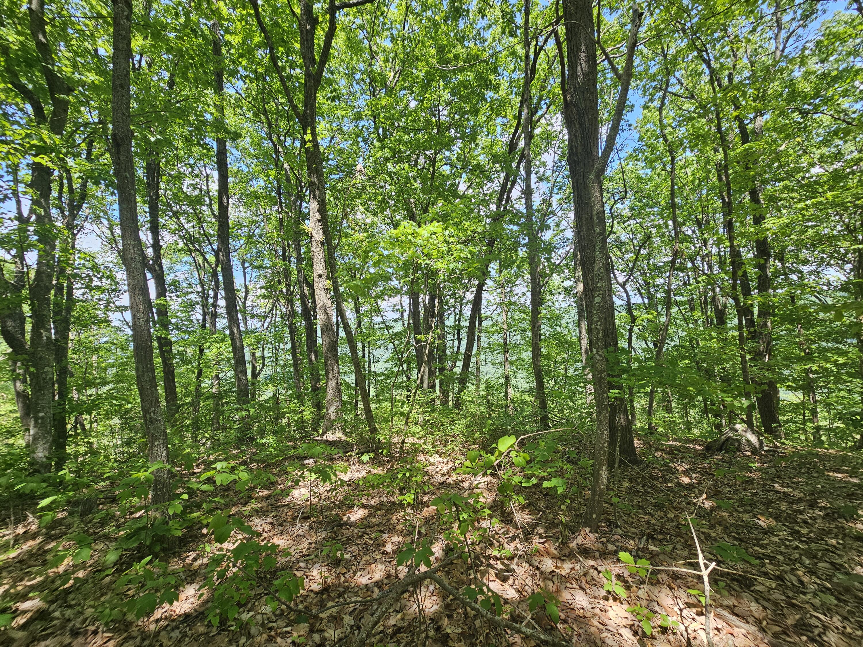 12 Higgenbottom Turnpike, 12