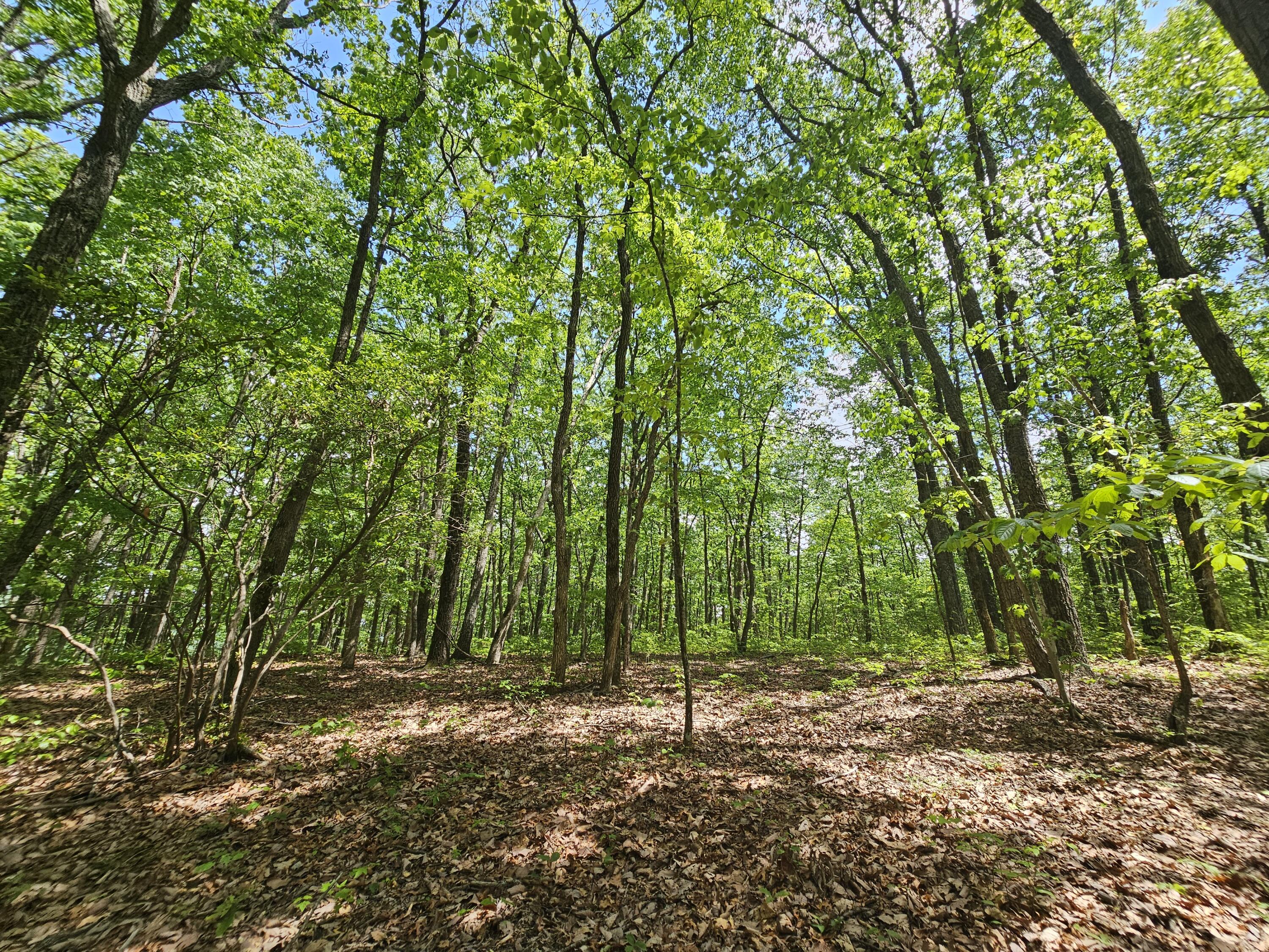 12 Higgenbottom Turnpike, 12