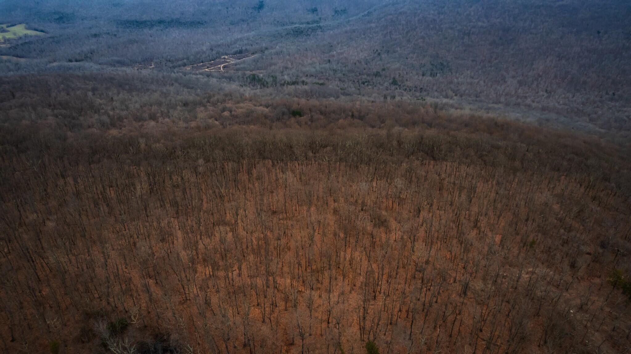 12 Higgenbottom Turnpike, 12