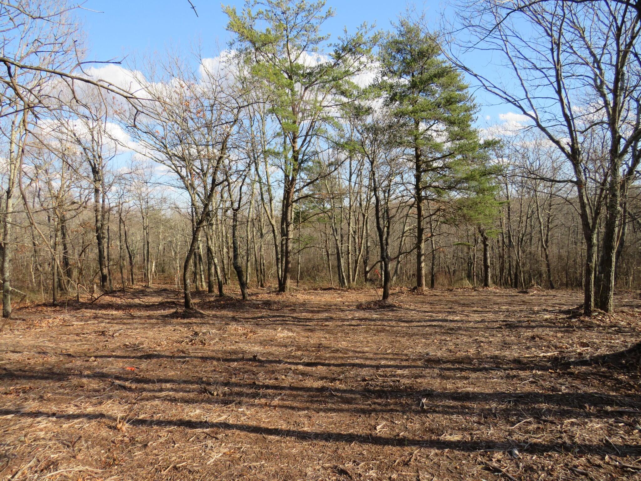 12 Higgenbottom Turnpike, 12