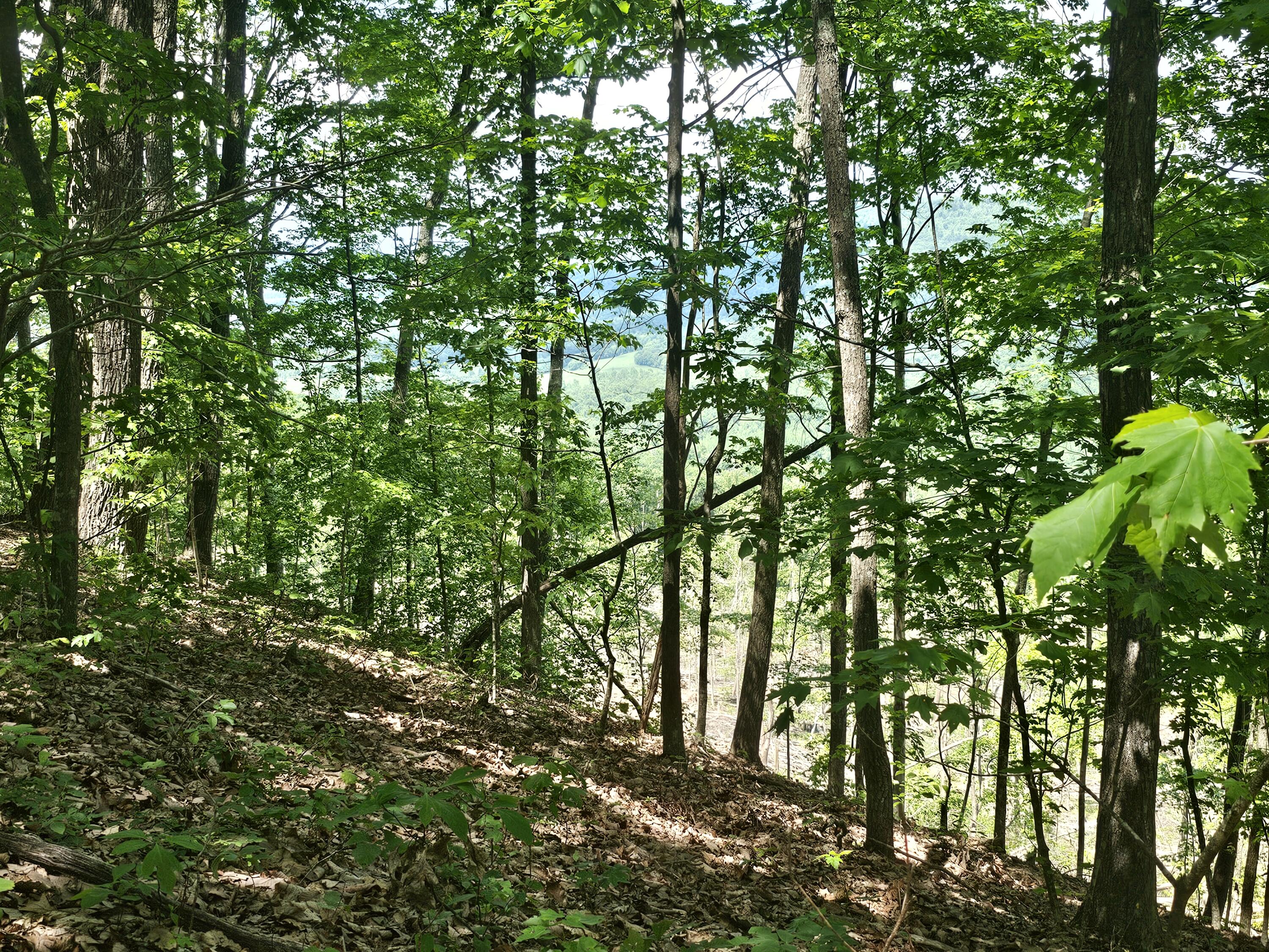 12 Higgenbottom Turnpike, 12