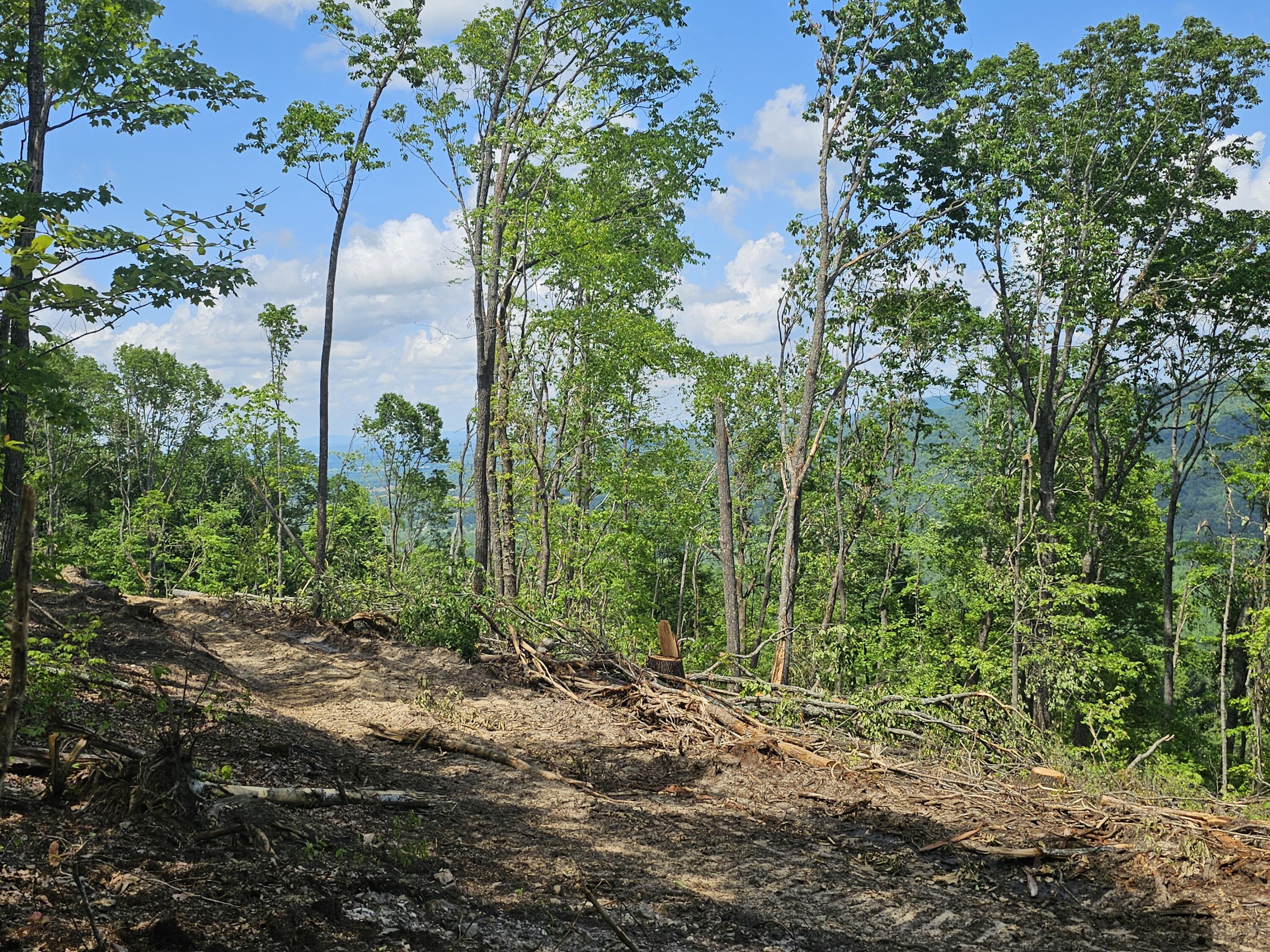 12 Higgenbottom Turnpike, 12