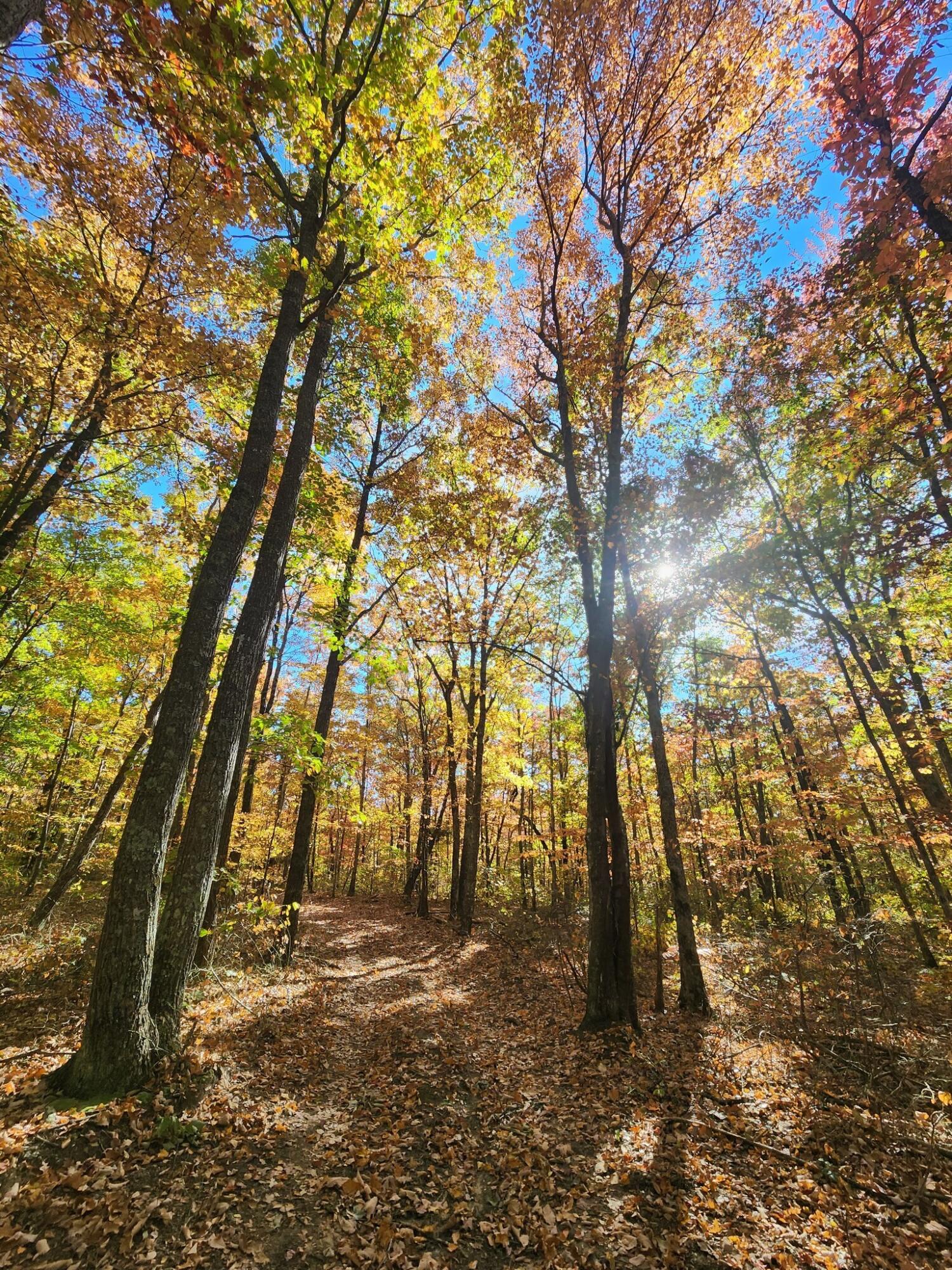 12 Higgenbottom Turnpike, 12