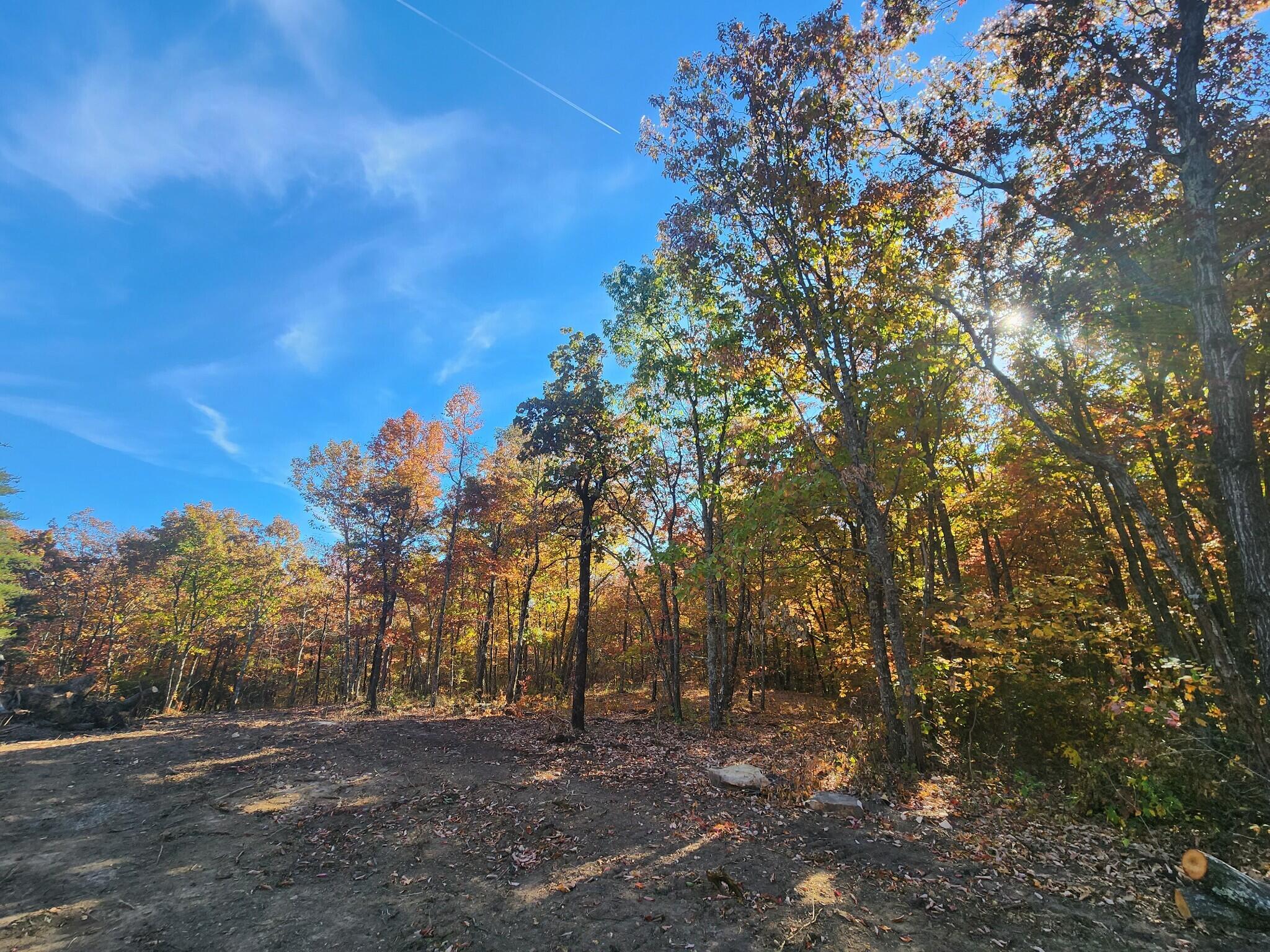 12 Higgenbottom Turnpike, 12