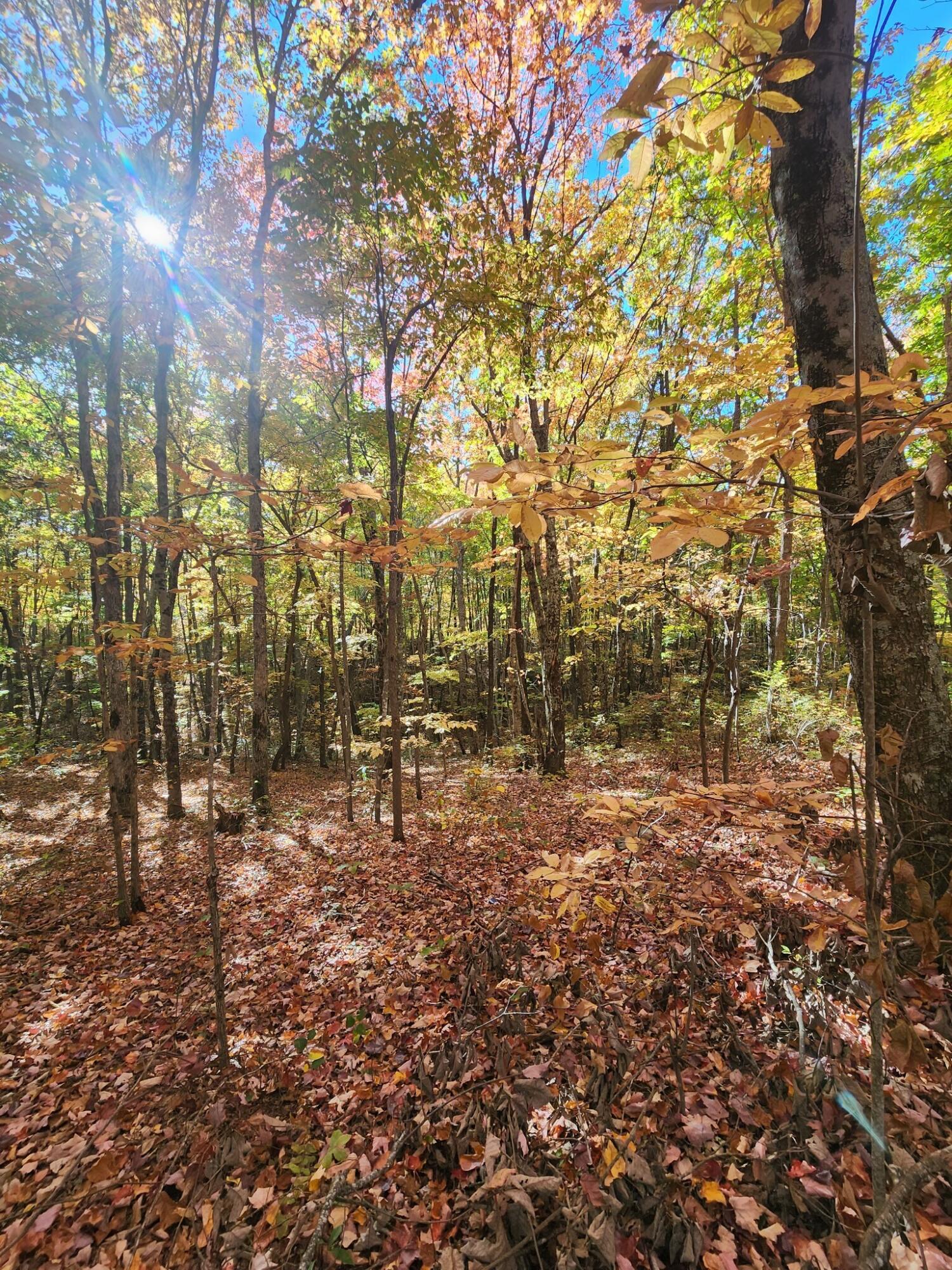 12 Higgenbottom Turnpike, 12