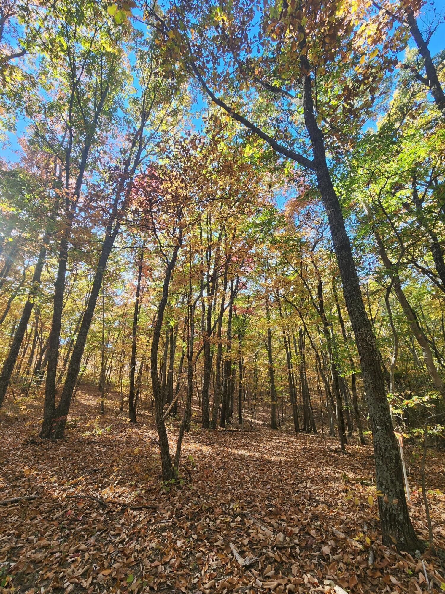 12 Higgenbottom Turnpike, 12