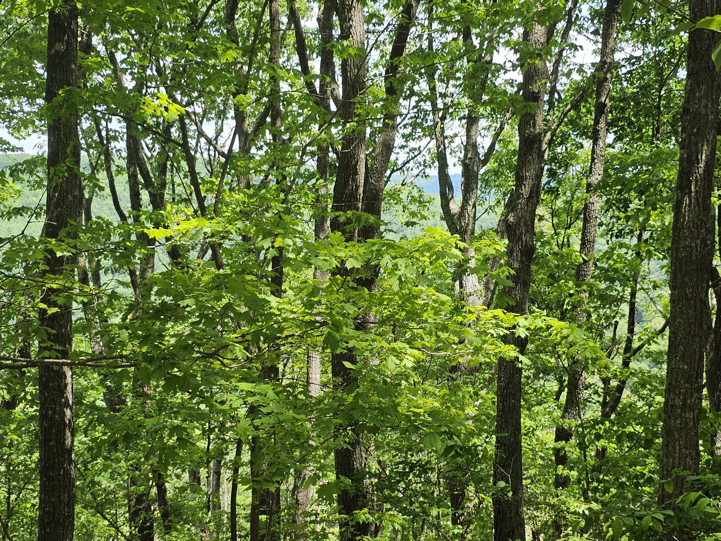 12 Higgenbottom Turnpike, 12