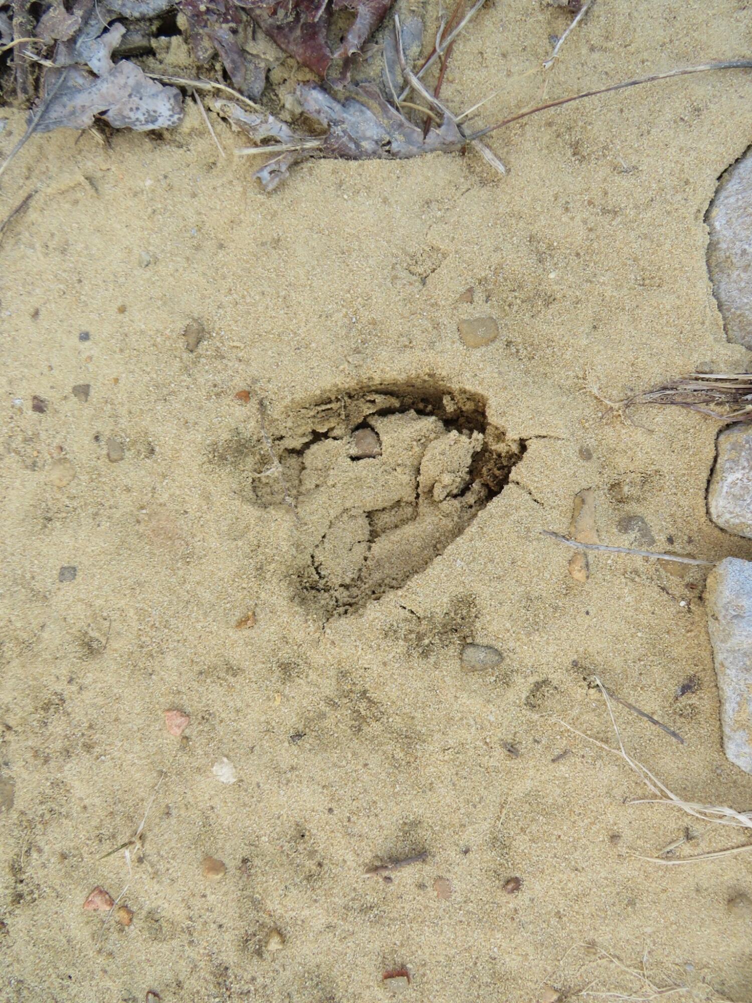 12 Higgenbottom Turnpike, 12