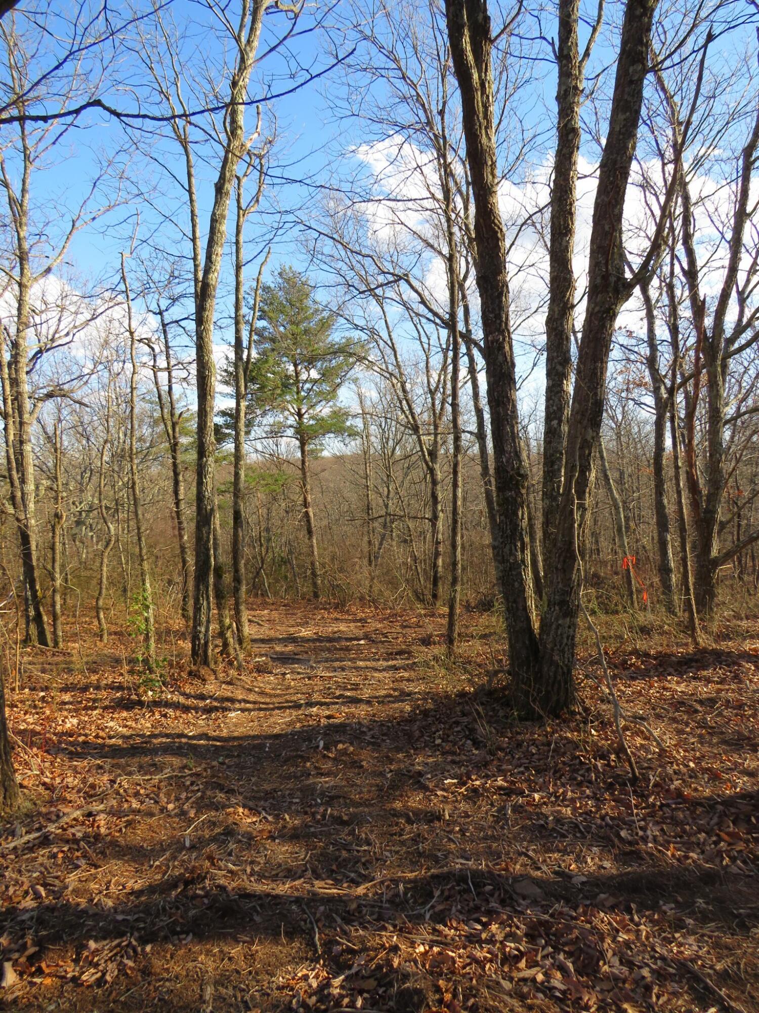 12 Higgenbottom Turnpike, 12