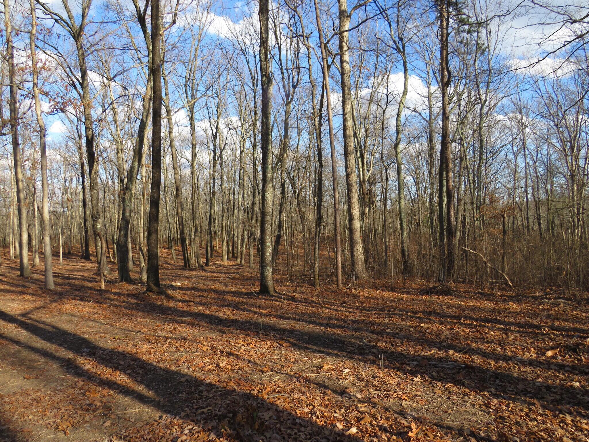 12 Higgenbottom Turnpike, 12