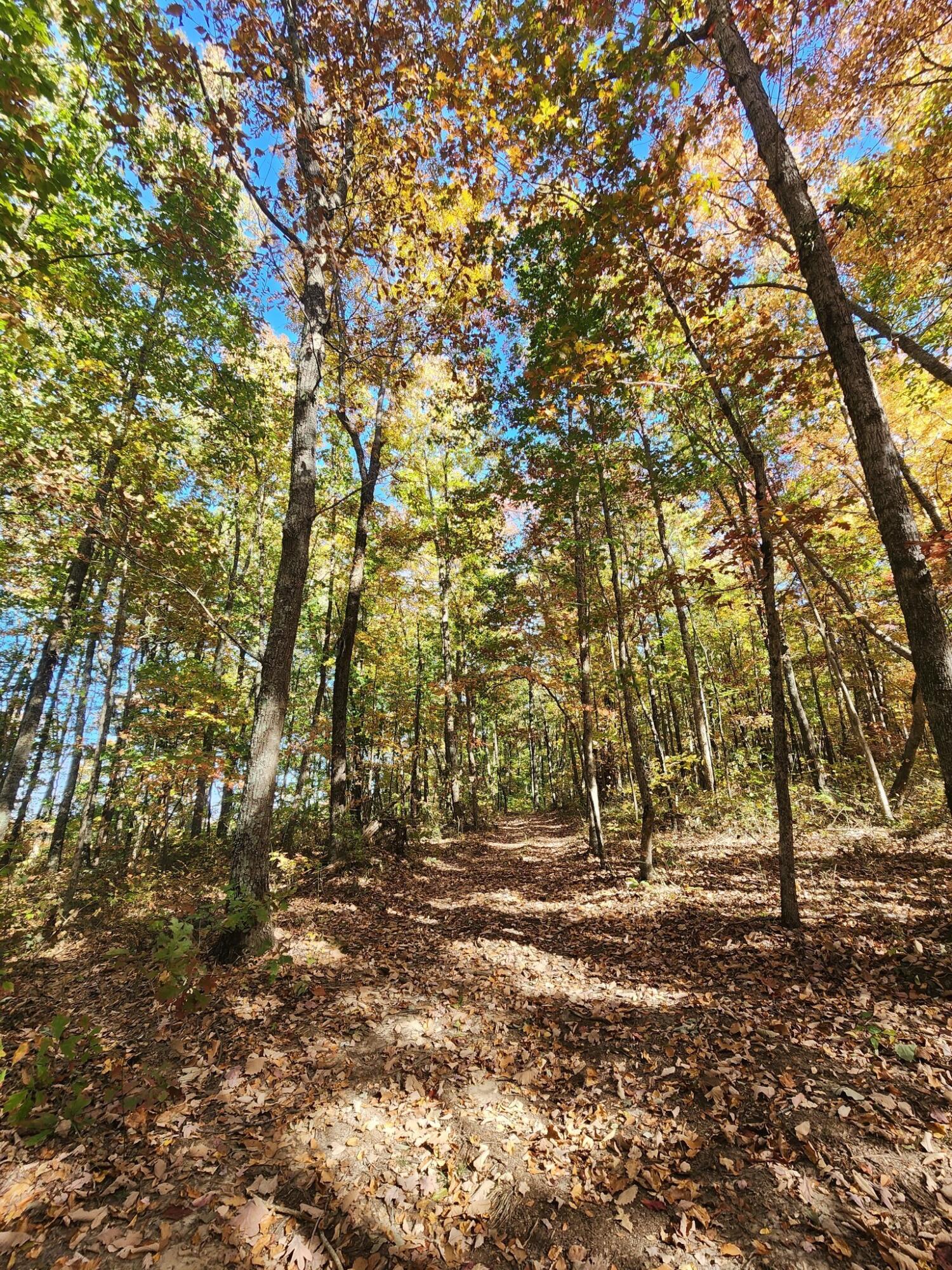 12 Higgenbottom Turnpike, 12