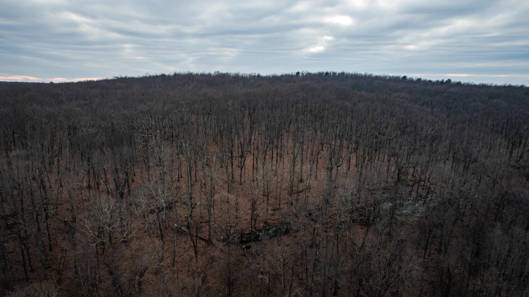 12 Higgenbottom Turnpike, 12