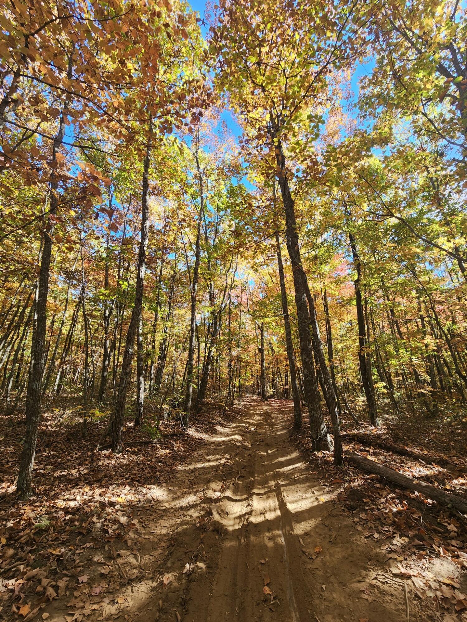 12 Higgenbottom Turnpike, 12