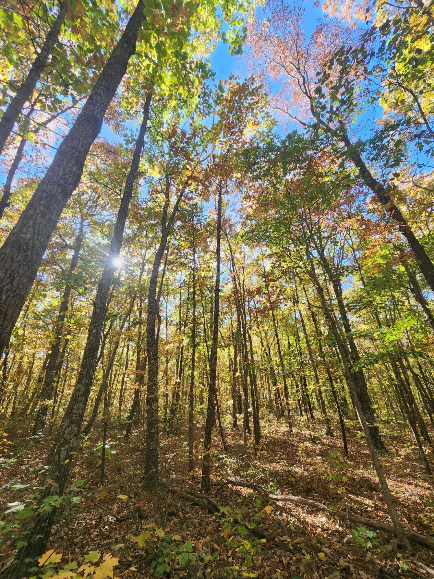 12 Higgenbottom Turnpike, 12