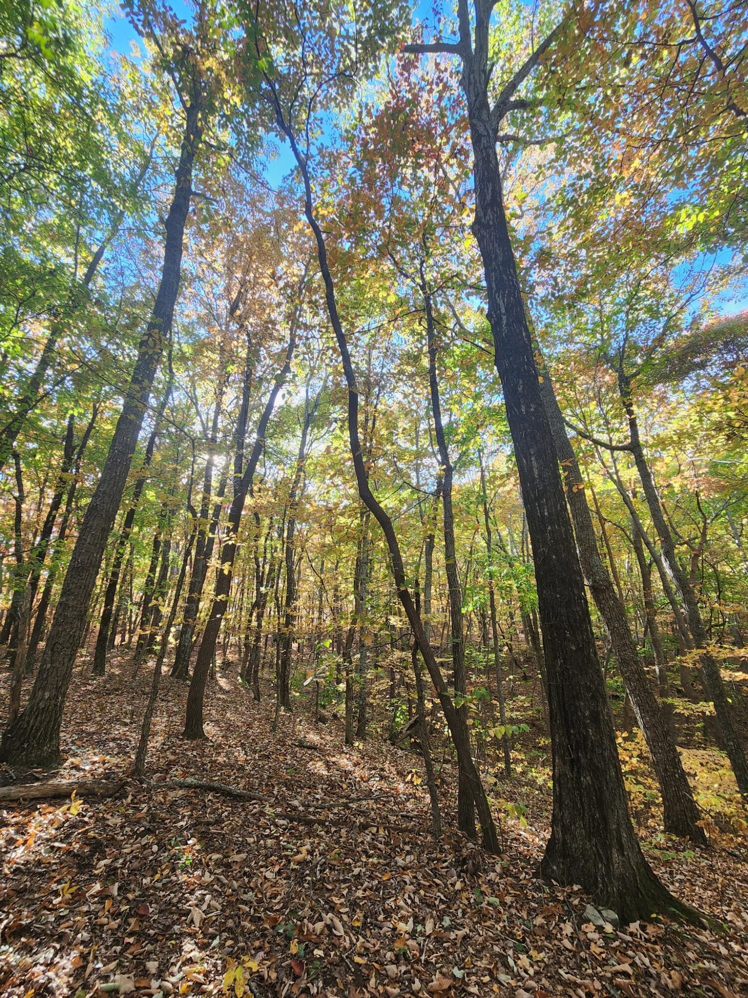 12 Higgenbottom Turnpike, 12