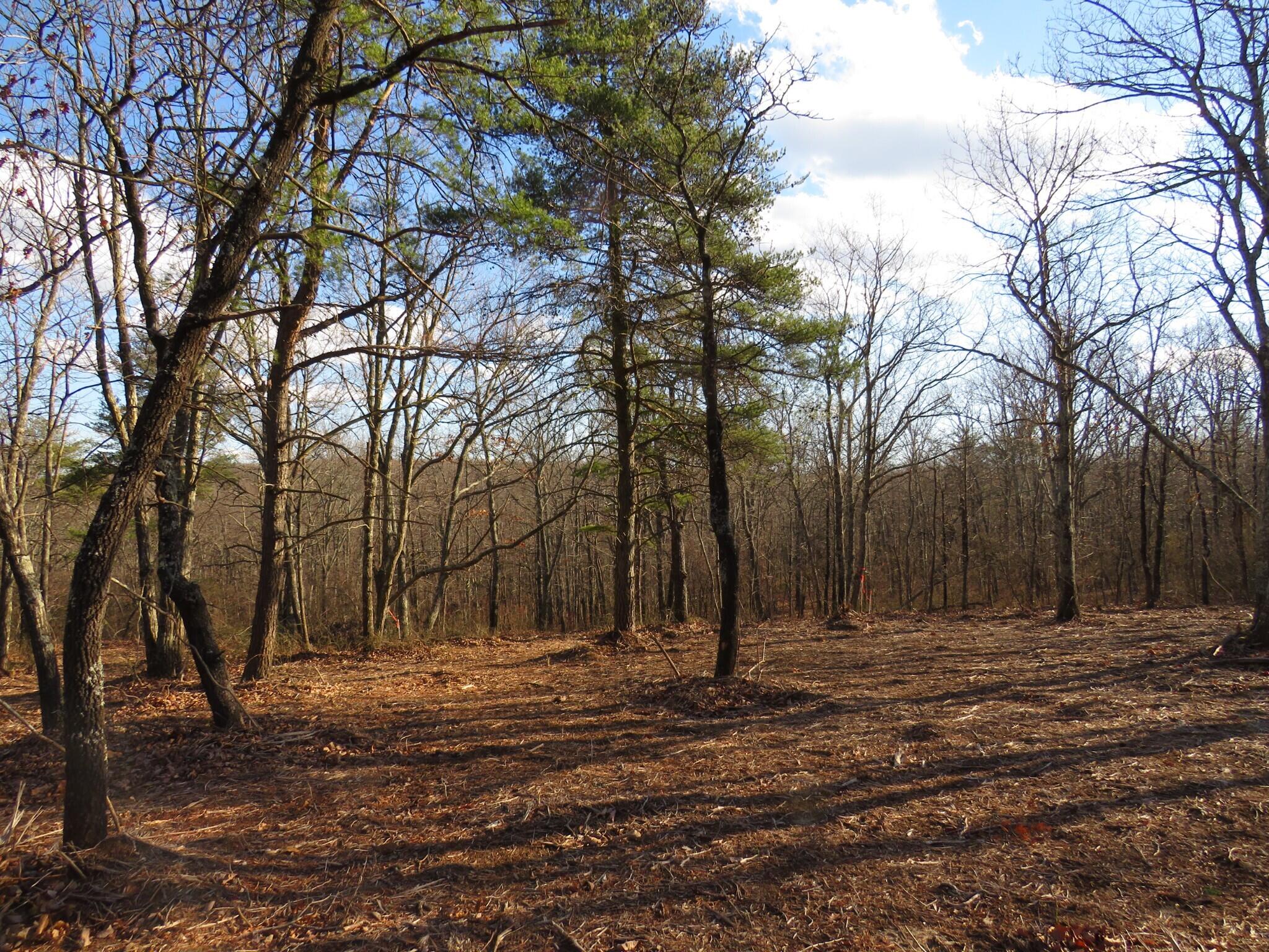 12 Higgenbottom Turnpike, 12