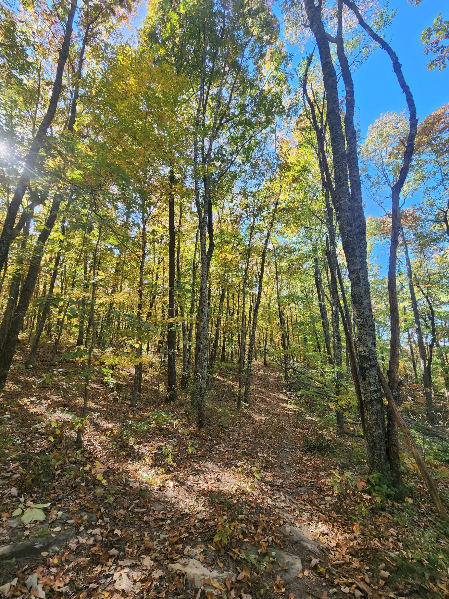 12 Higgenbottom Turnpike, 12