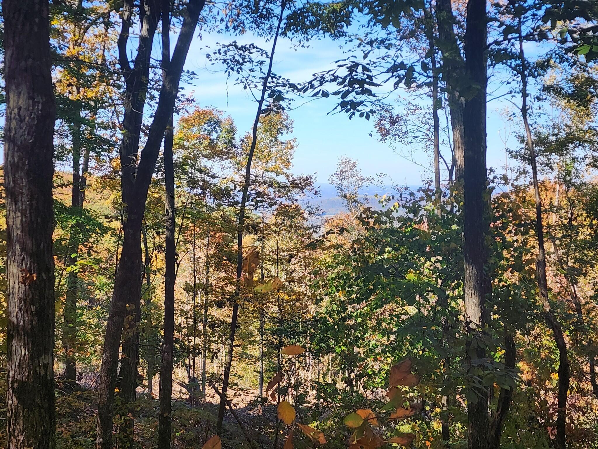 12 Higgenbottom Turnpike, 12