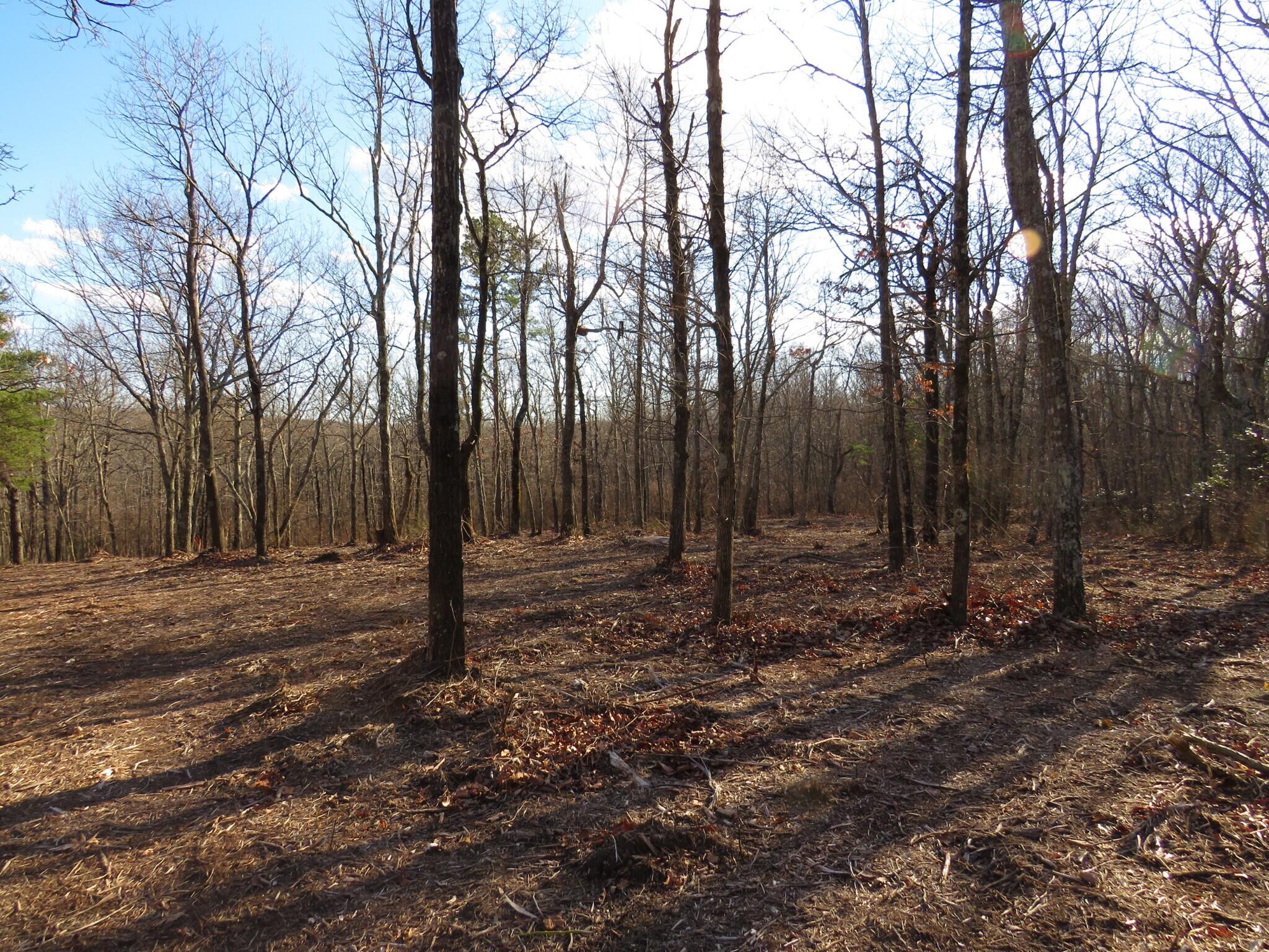 12 Higgenbottom Turnpike, 12