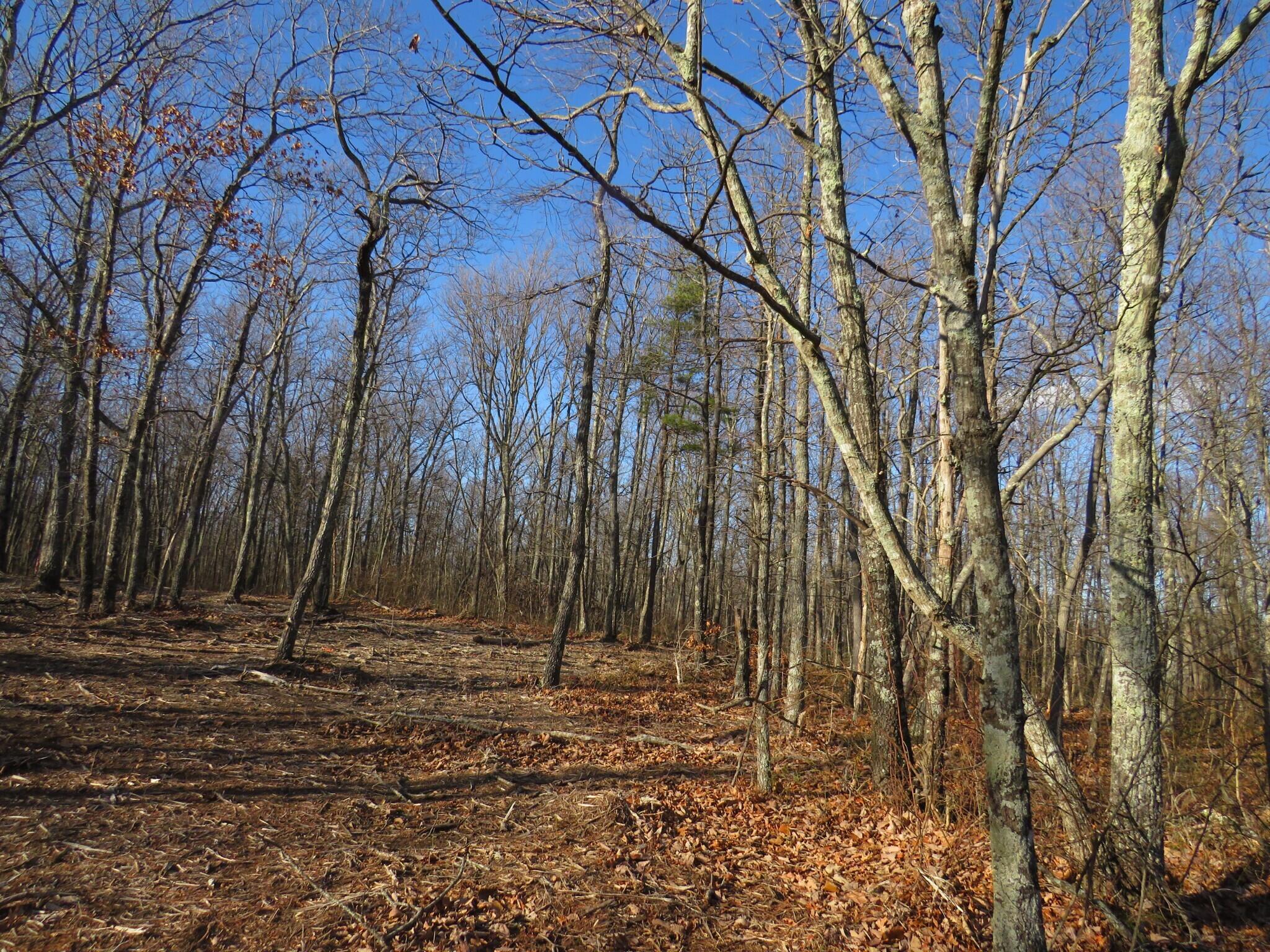 12 Higgenbottom Turnpike, 12