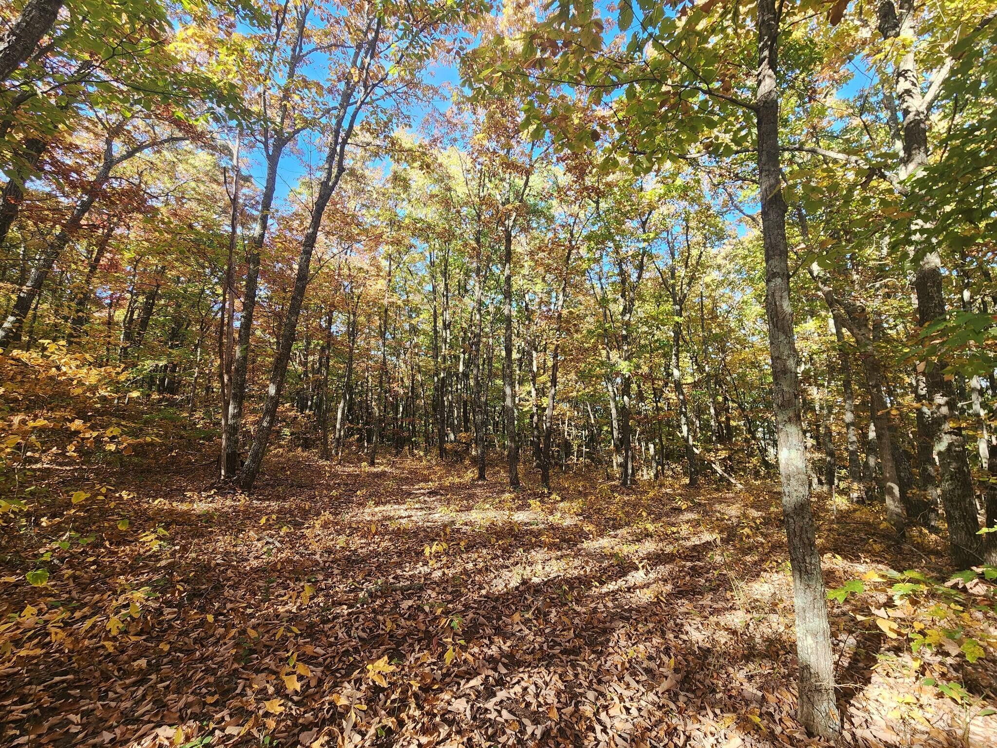 12 Higgenbottom Turnpike, 12