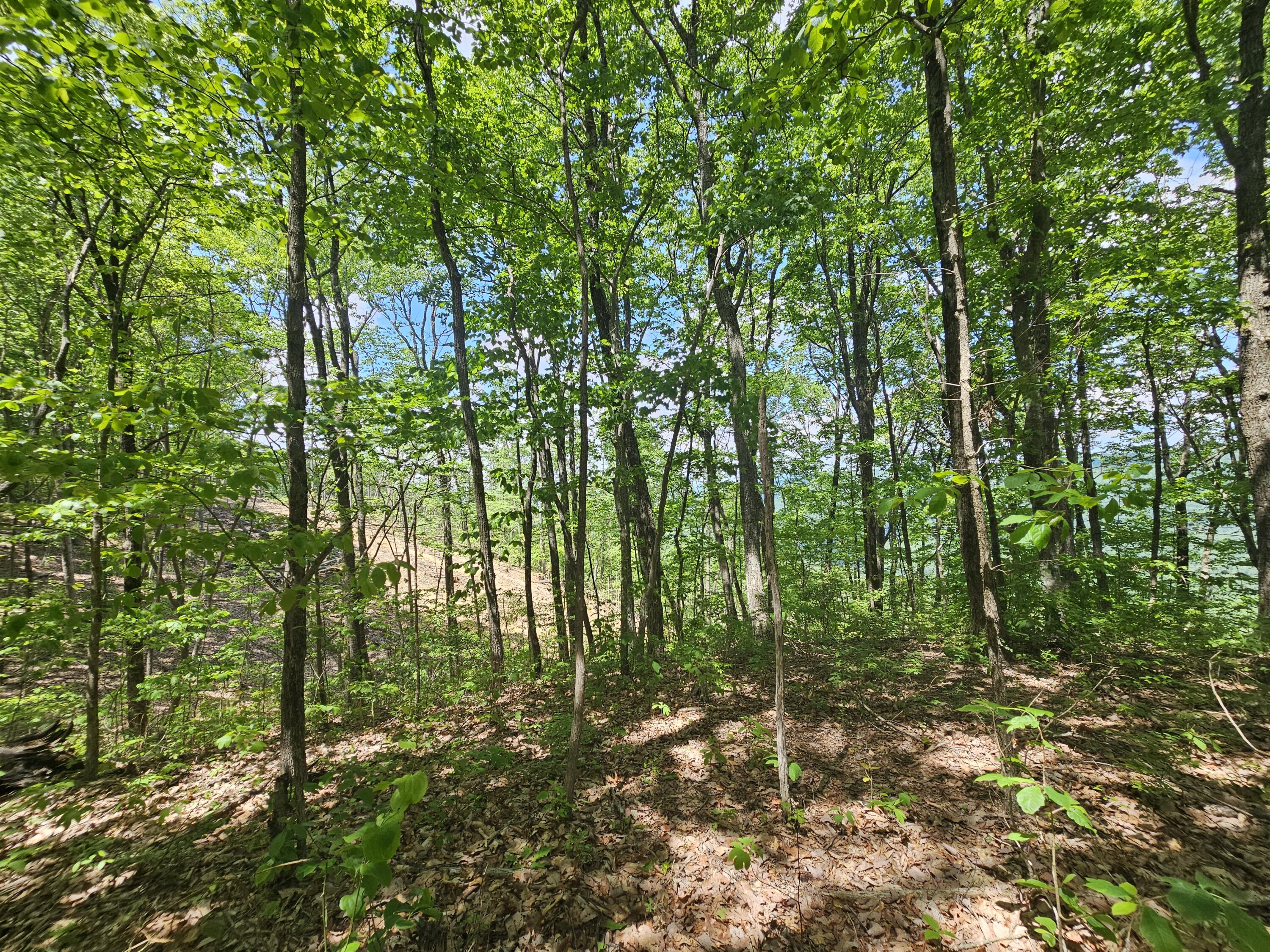 12 Higgenbottom Turnpike, 12