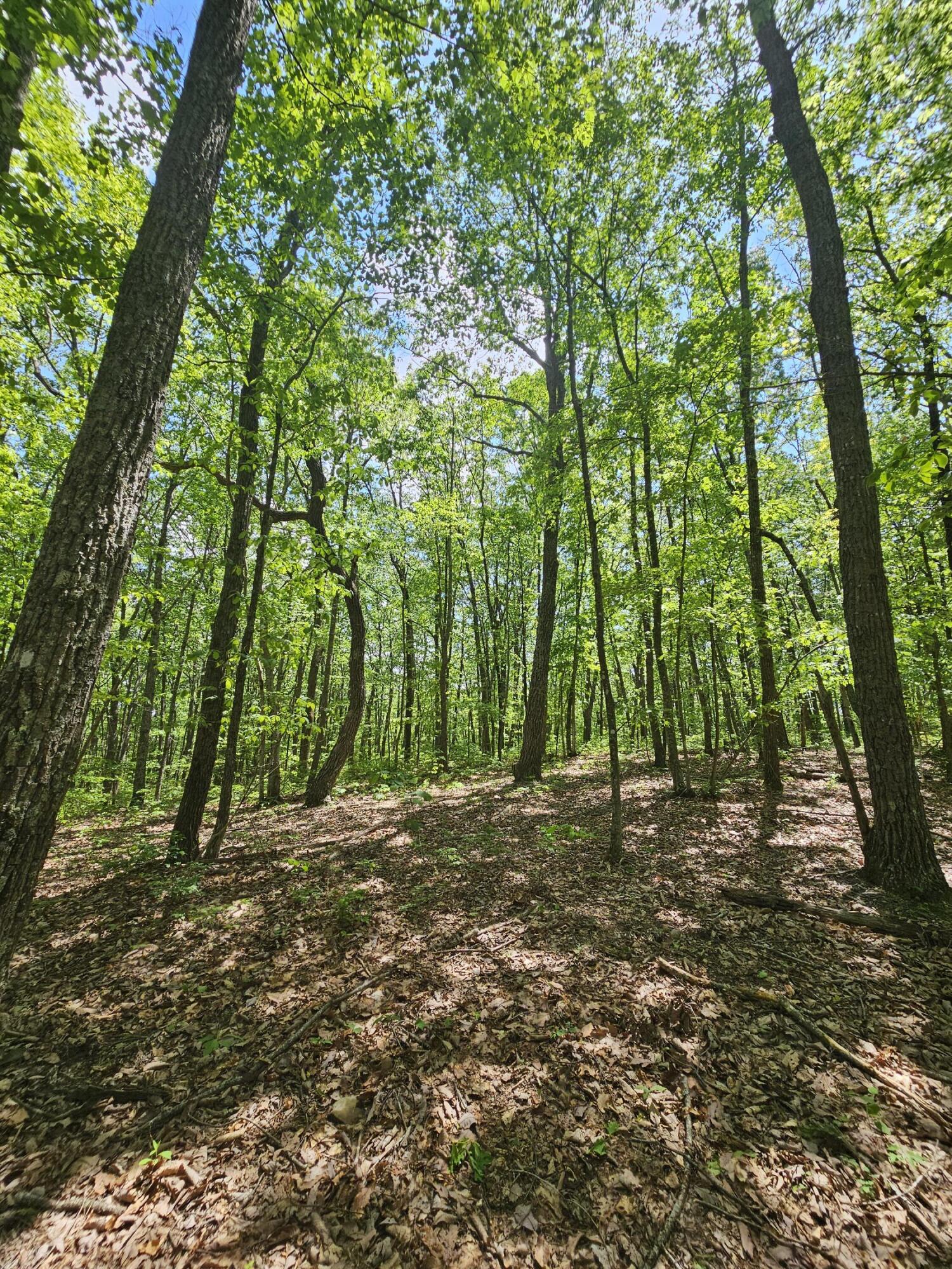 12 Higgenbottom Turnpike, 12