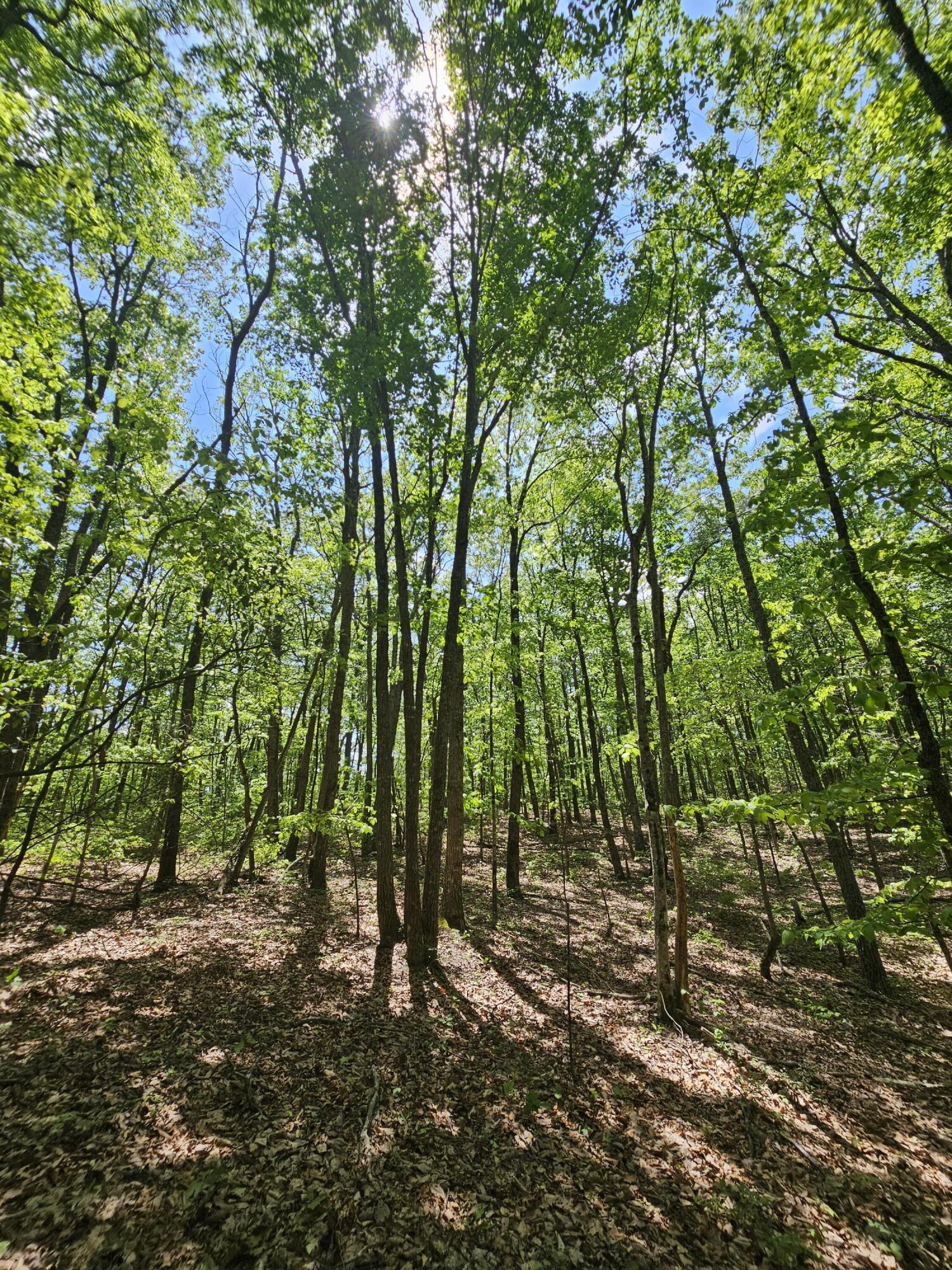 12 Higgenbottom Turnpike, 12