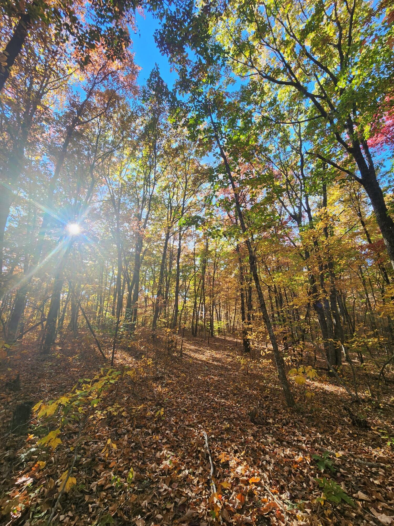 12 Higgenbottom Turnpike, 12