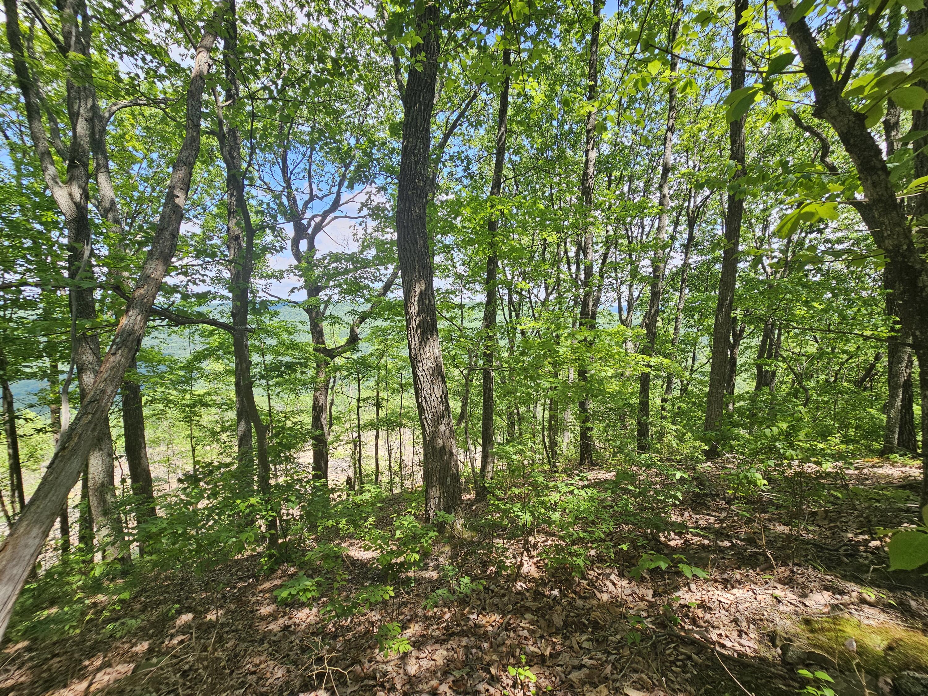 12 Higgenbottom Turnpike, 12