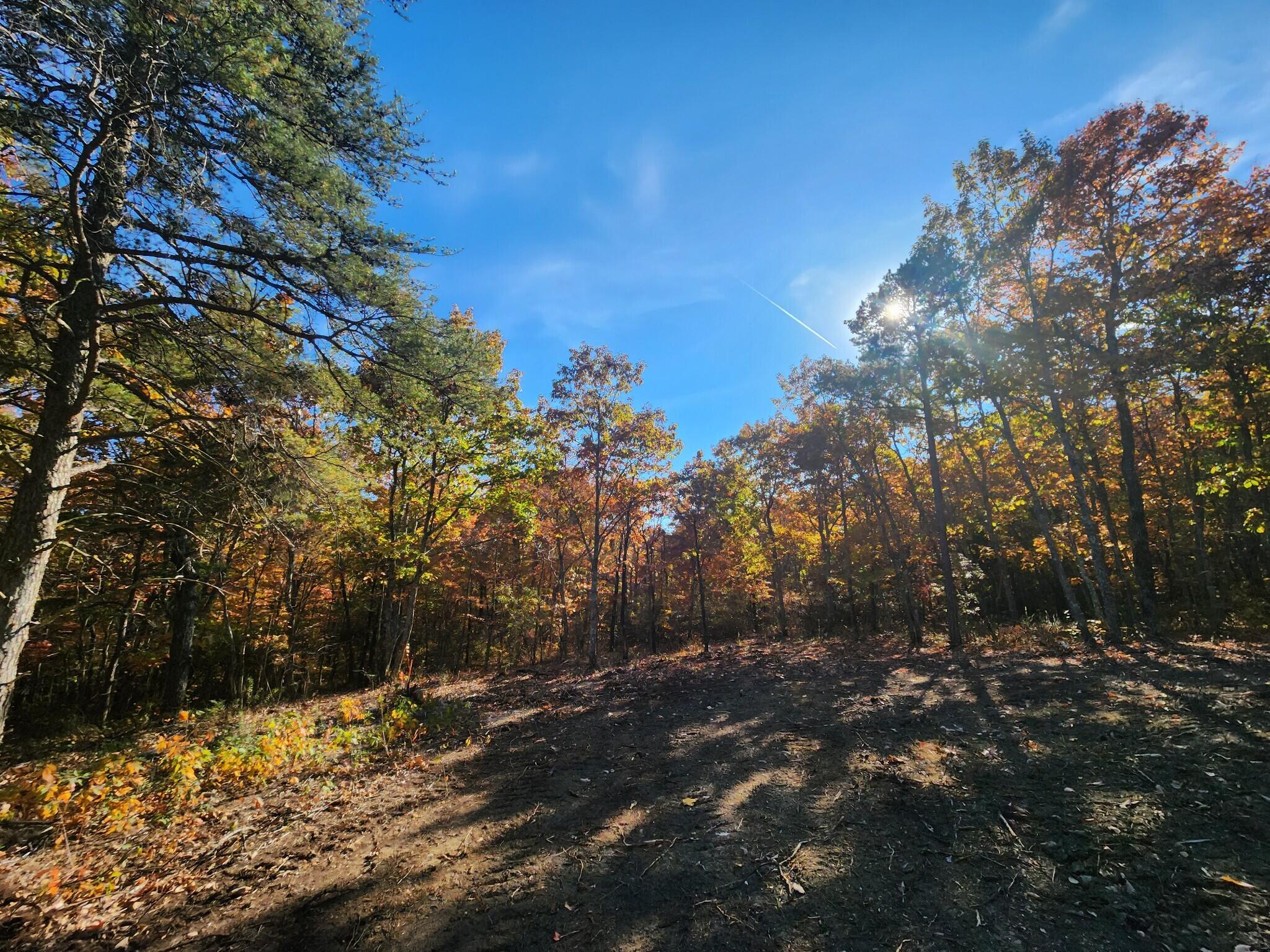 12 Higgenbottom Turnpike, 12