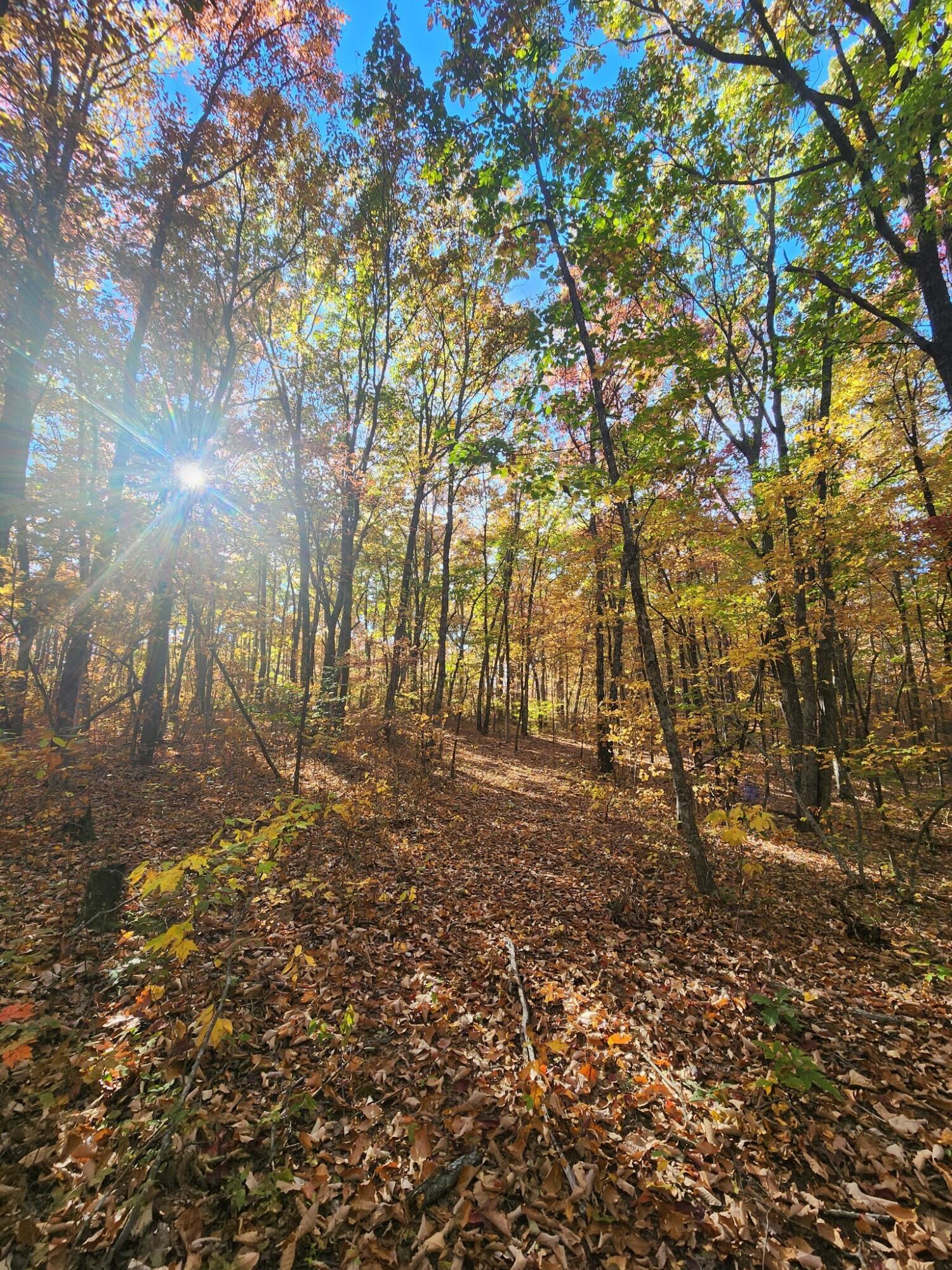 12 Higgenbottom Turnpike, 12