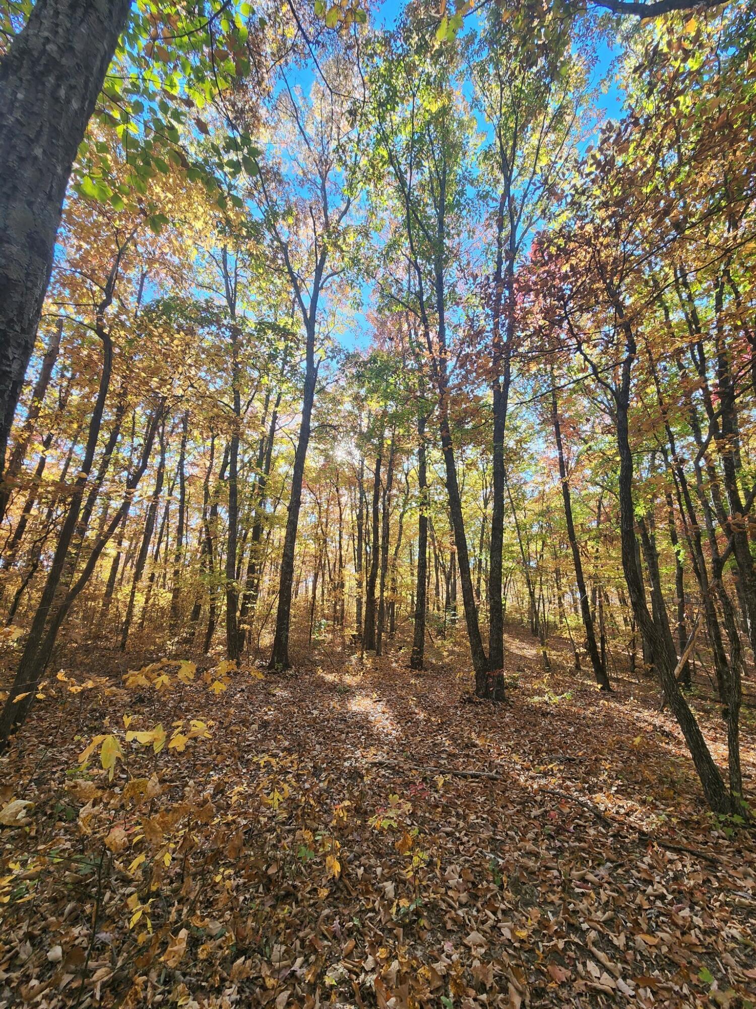 12 Higgenbottom Turnpike, 12