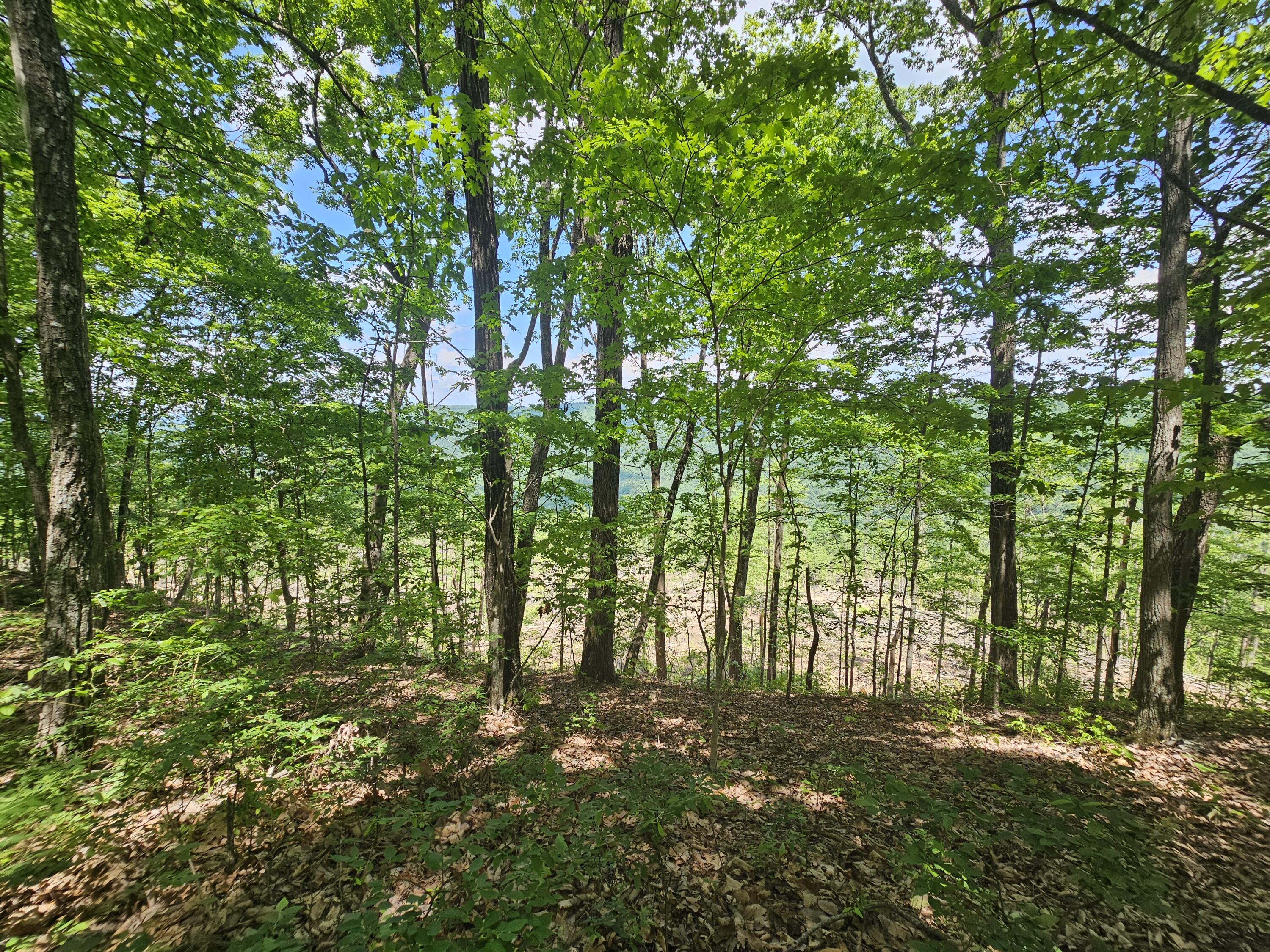 12 Higgenbottom Turnpike, 12