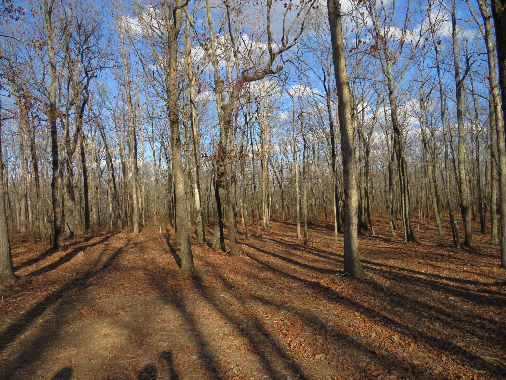 12 Higgenbottom Turnpike, 12